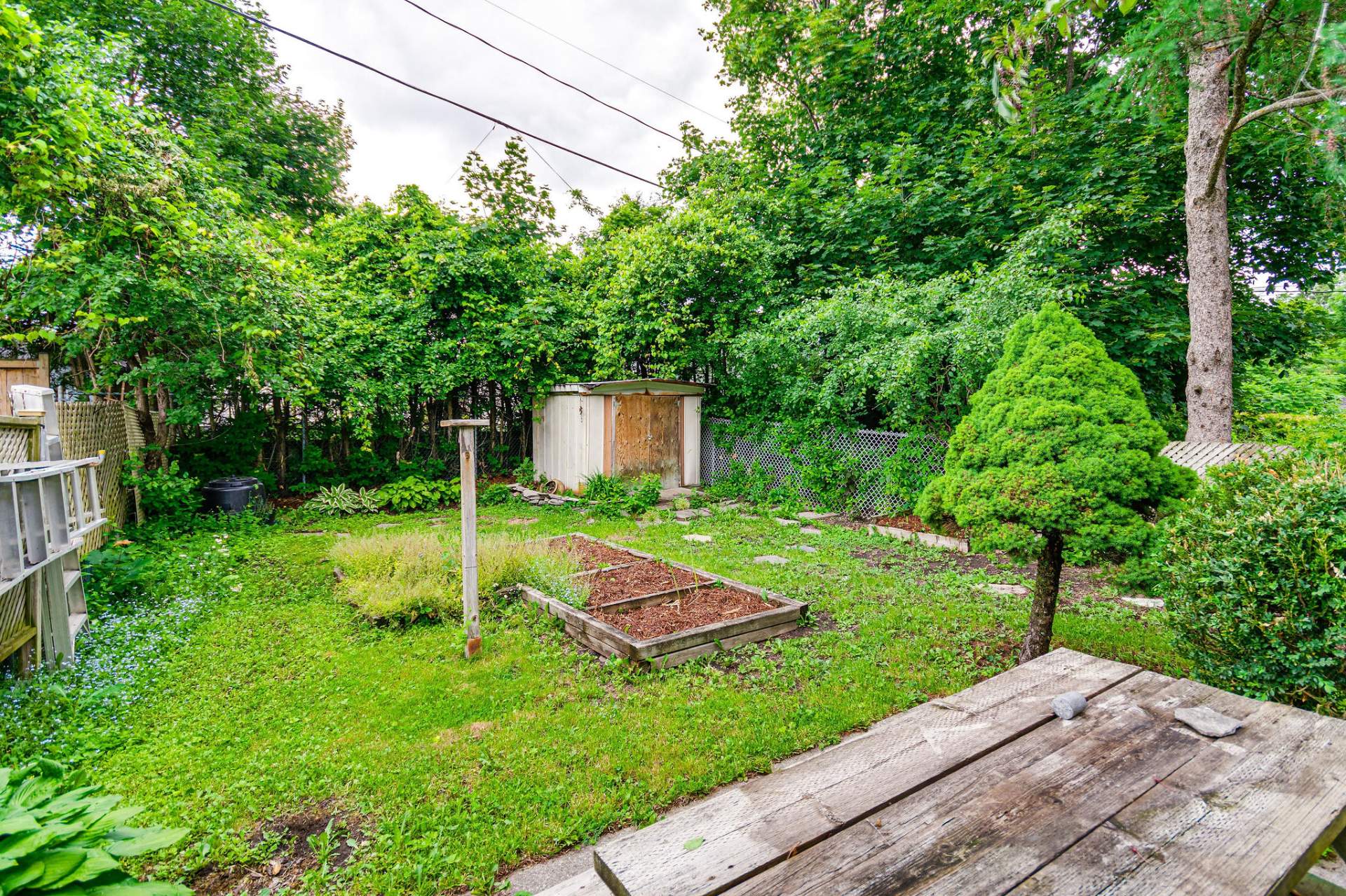 Backyard