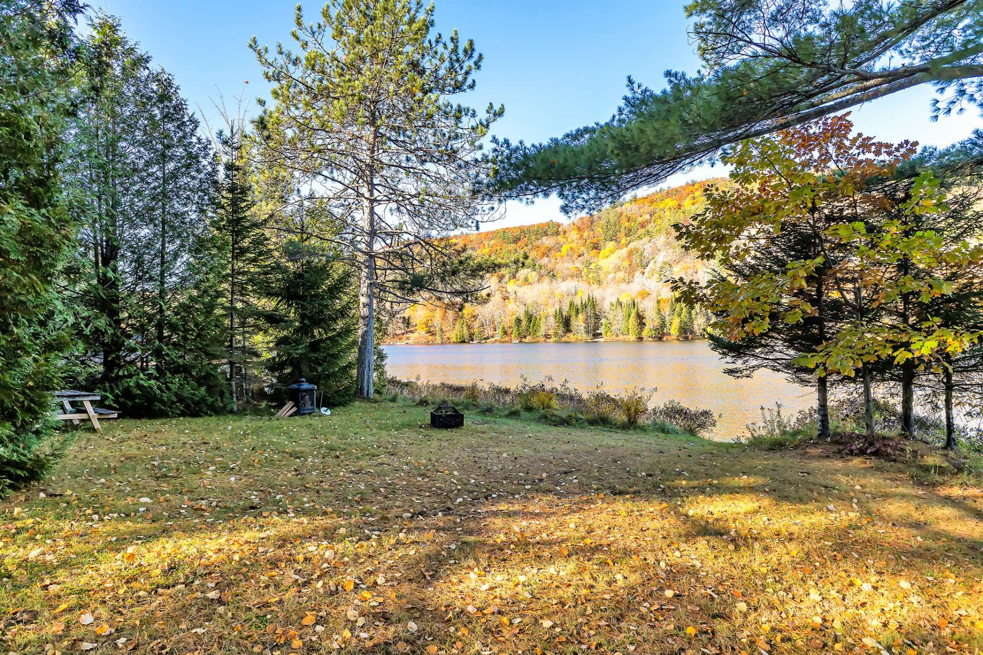 Land/Lot