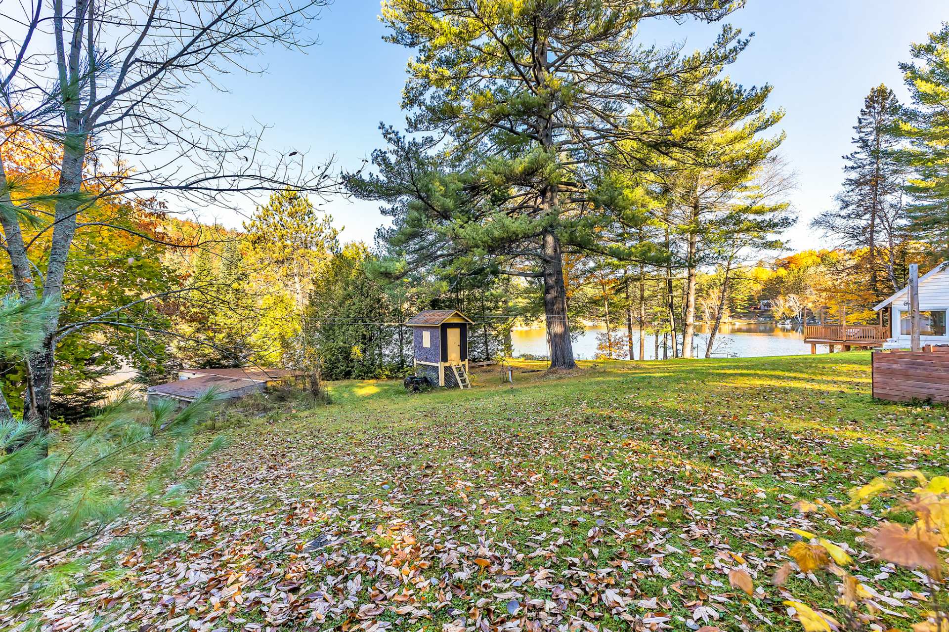 Land/Lot