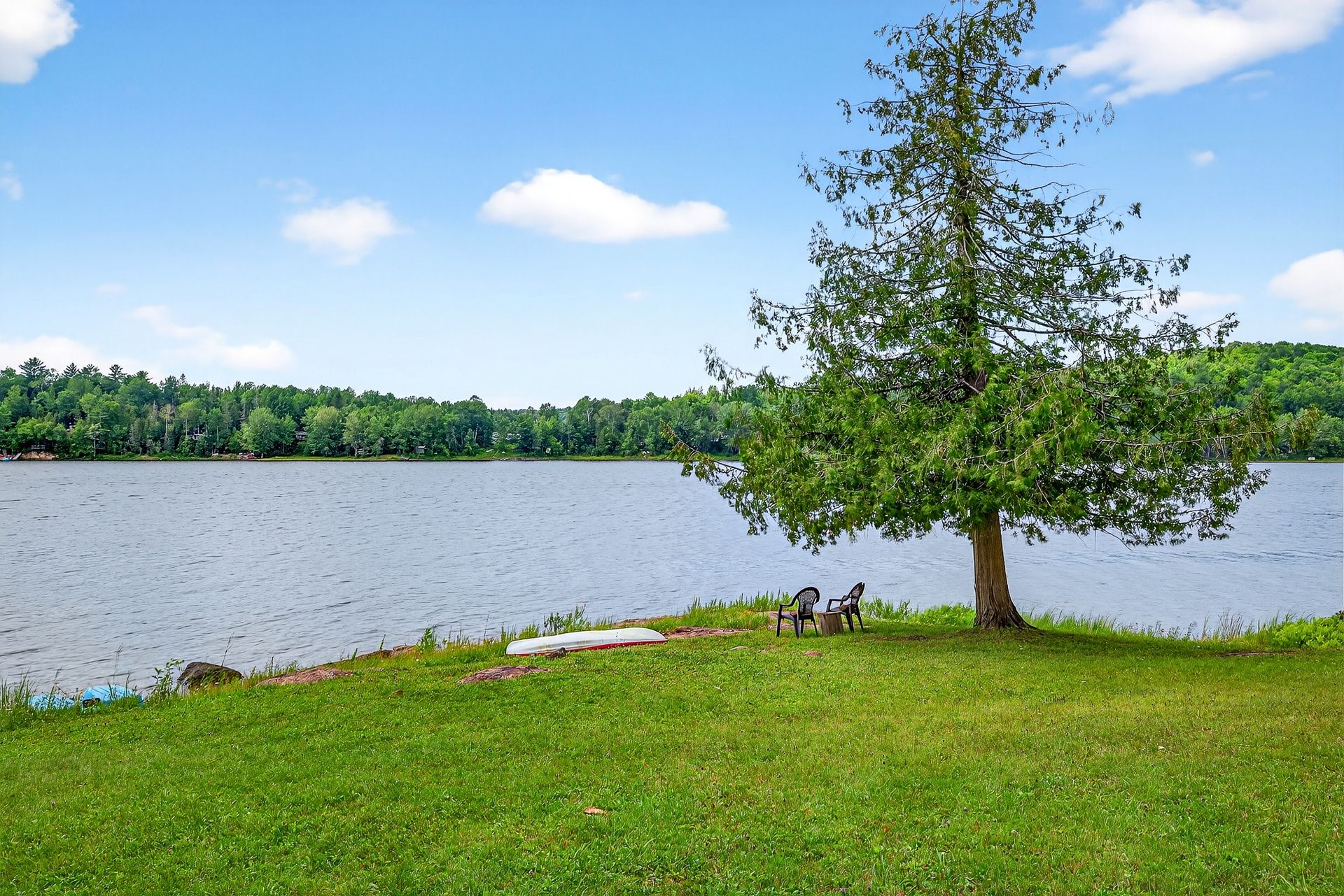 Bord de l'eau - Été