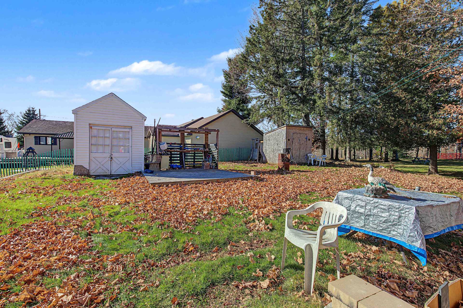Backyard