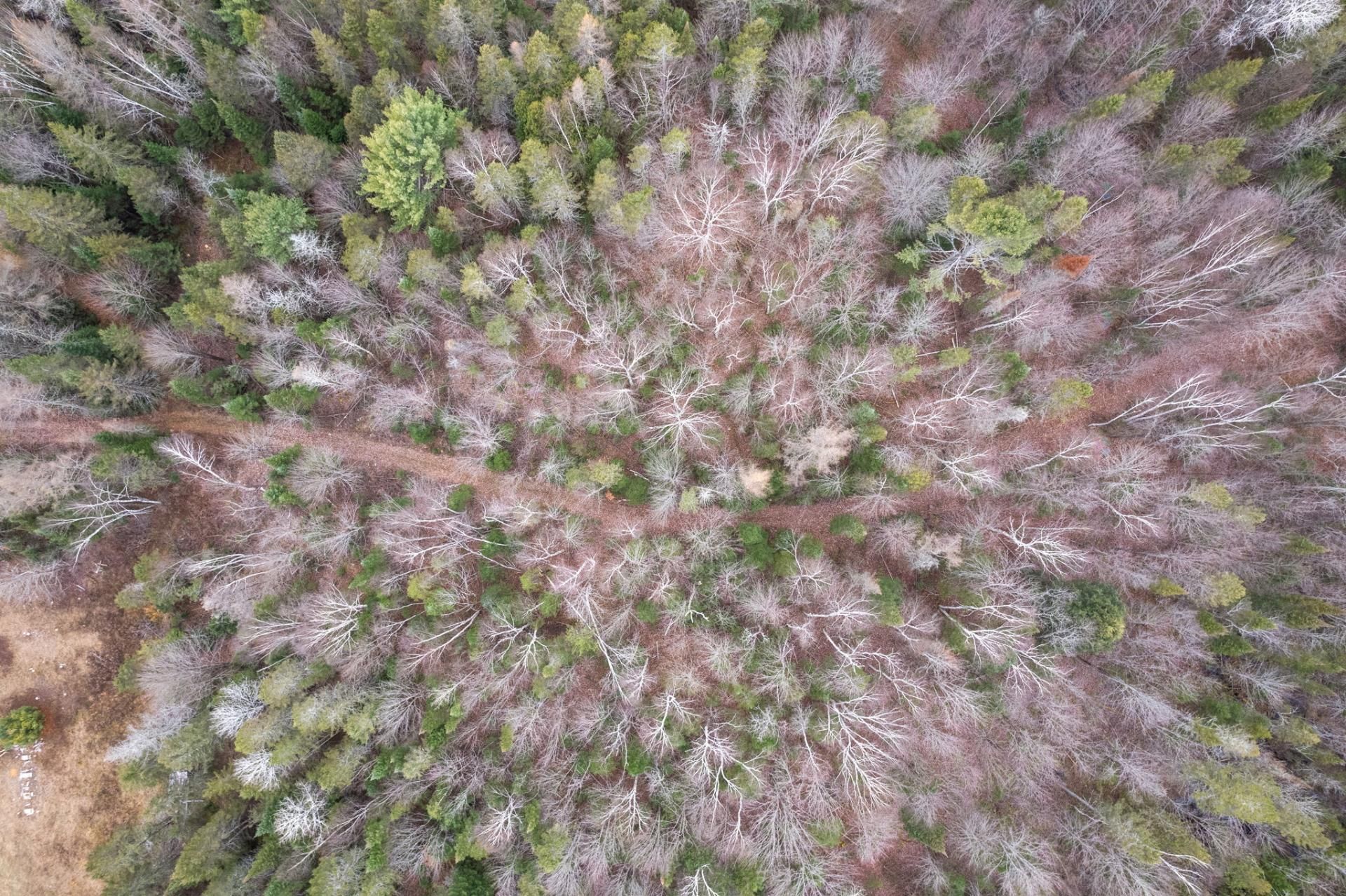 Aerial photo