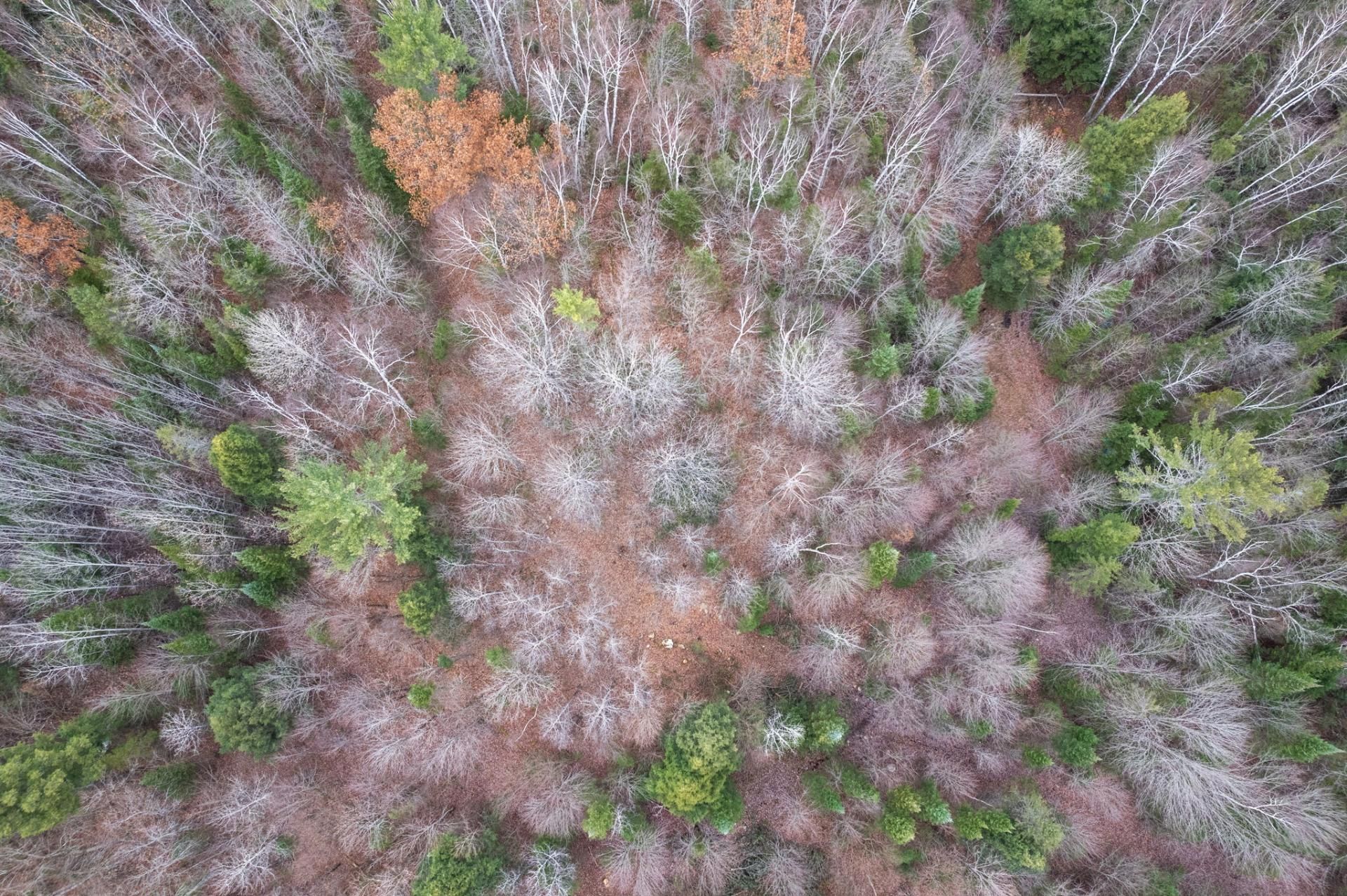 Aerial photo