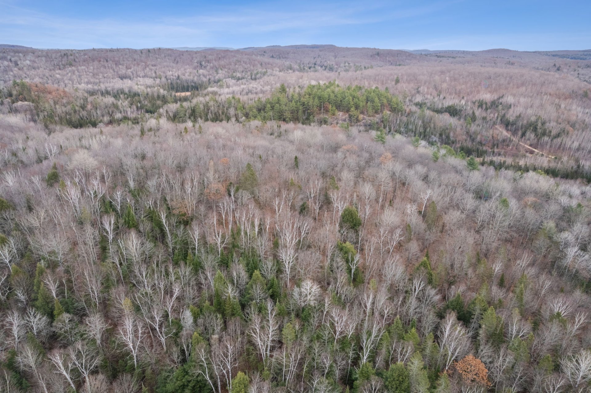 Aerial photo