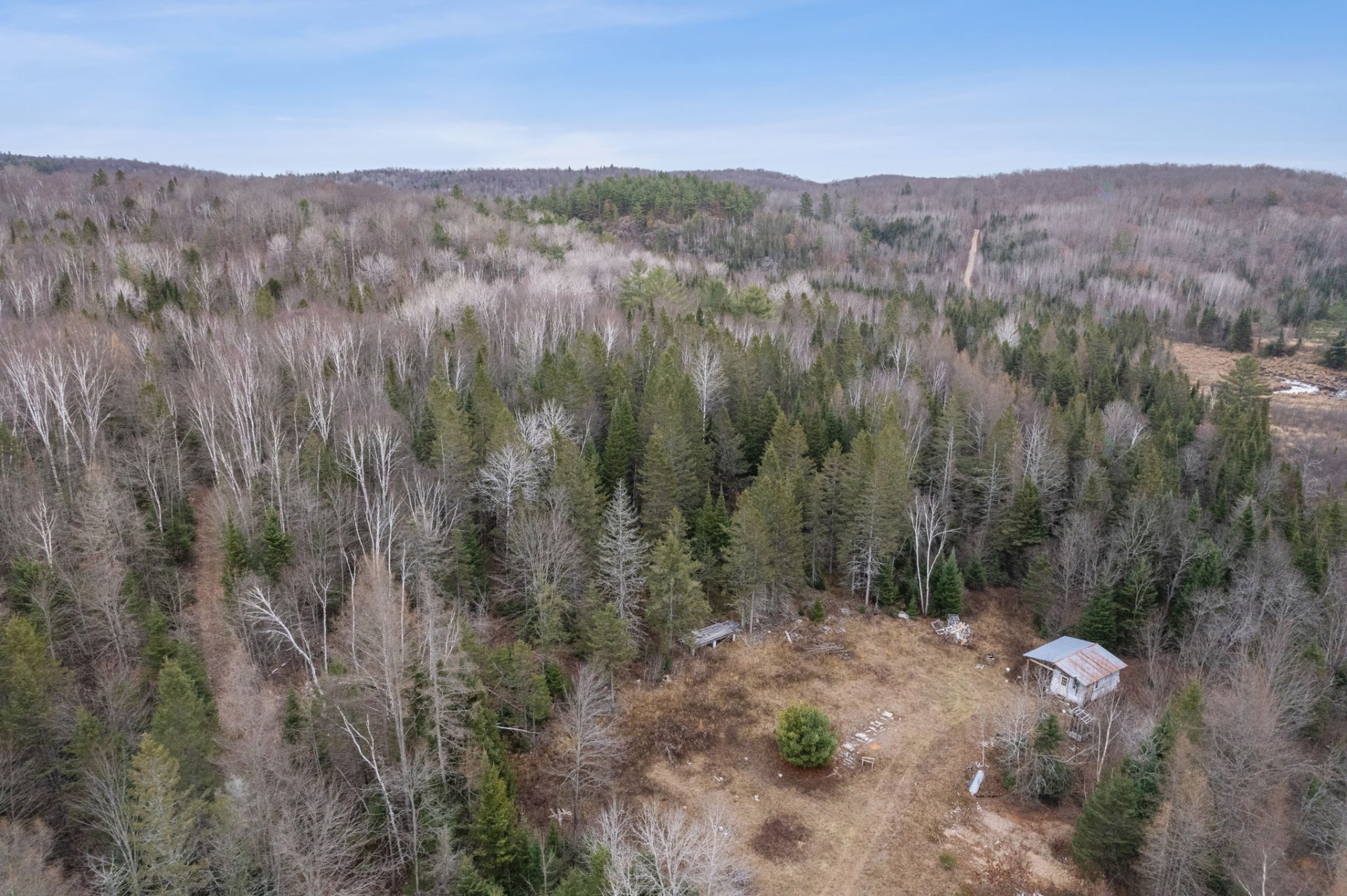 Aerial photo