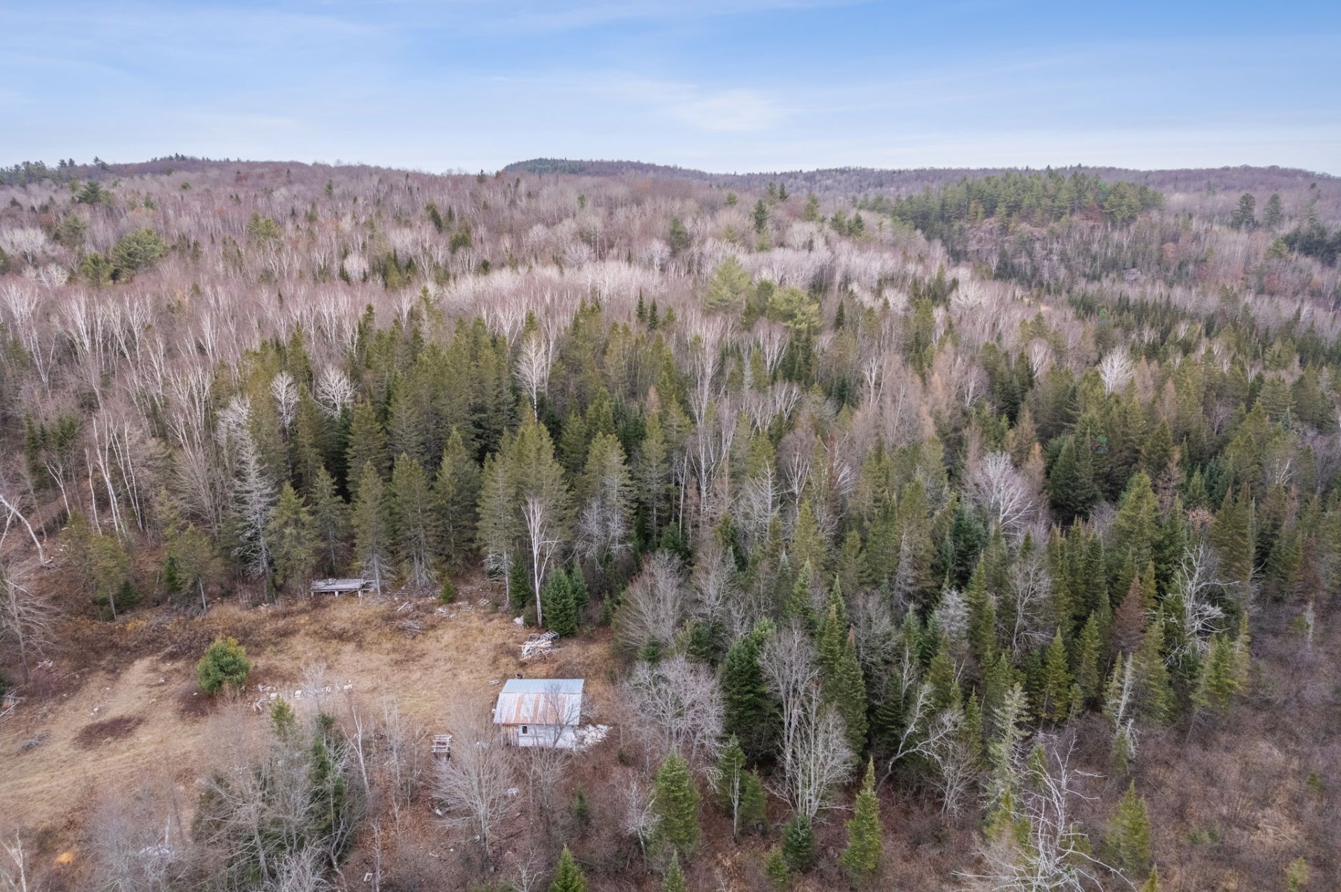 Aerial photo