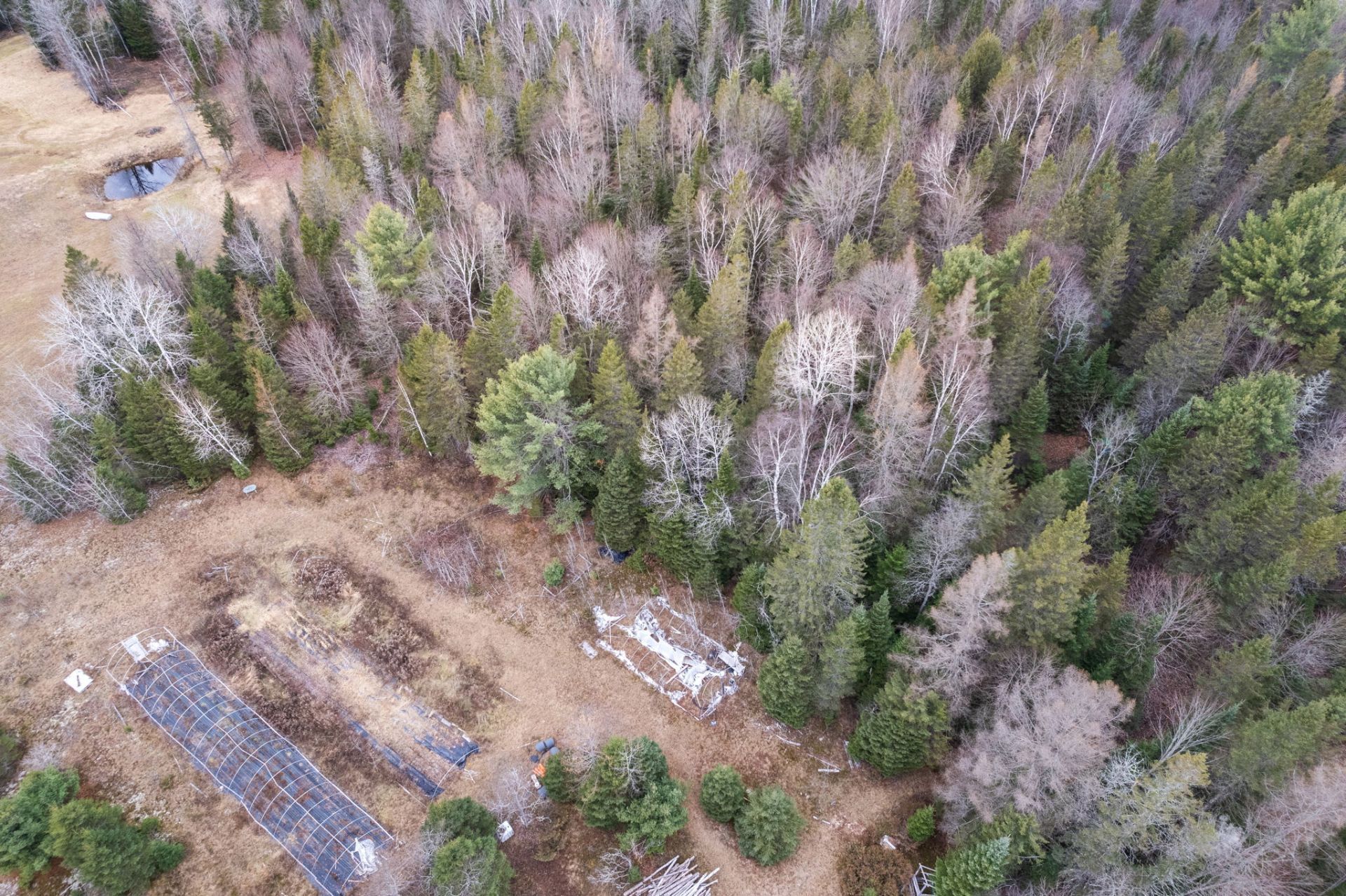 Aerial photo
