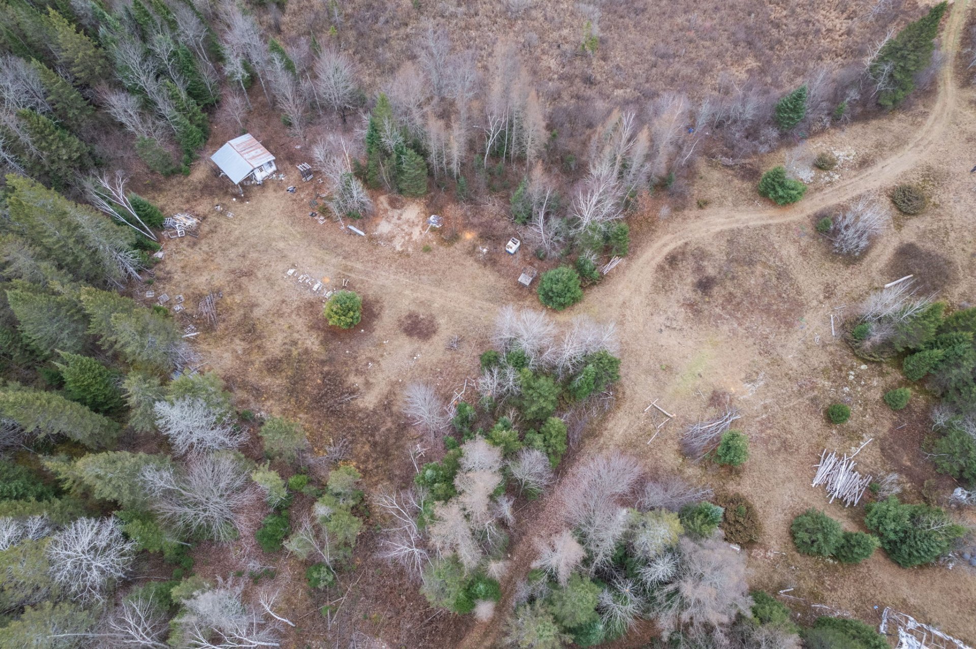 Aerial photo