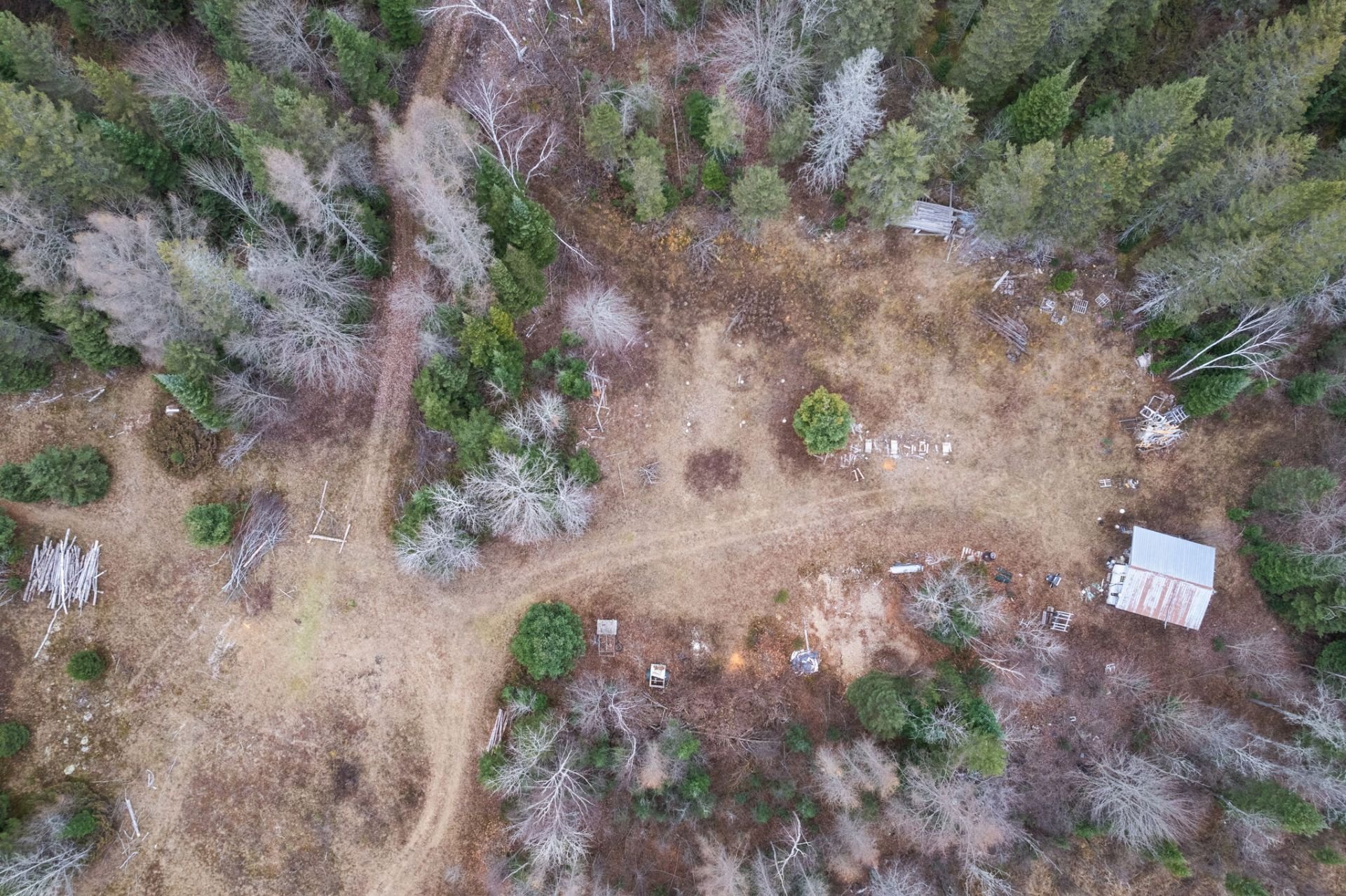 Aerial photo