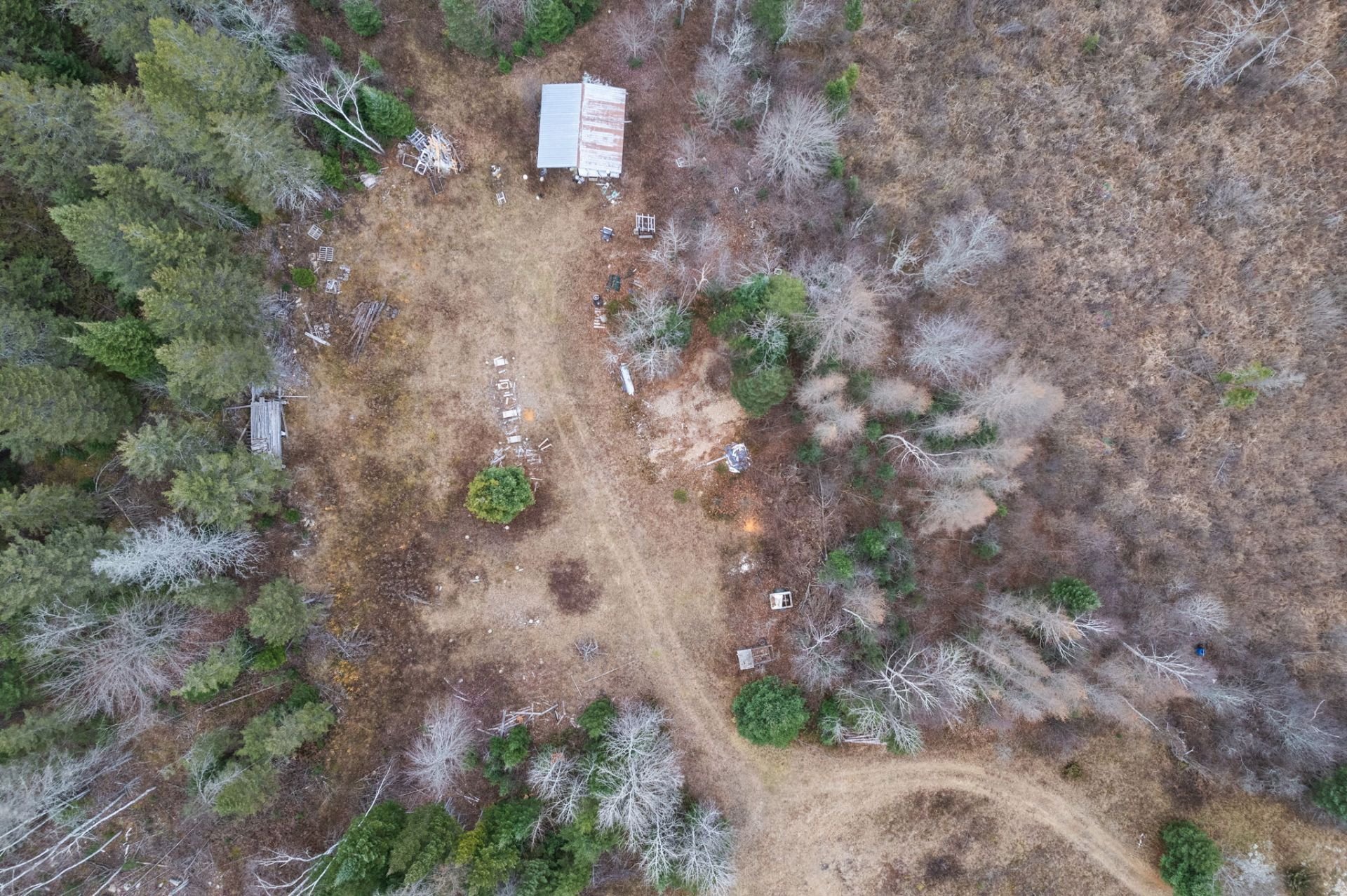 Aerial photo