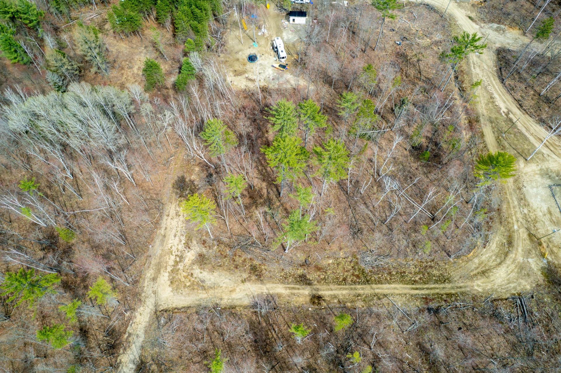 Land/Lot
