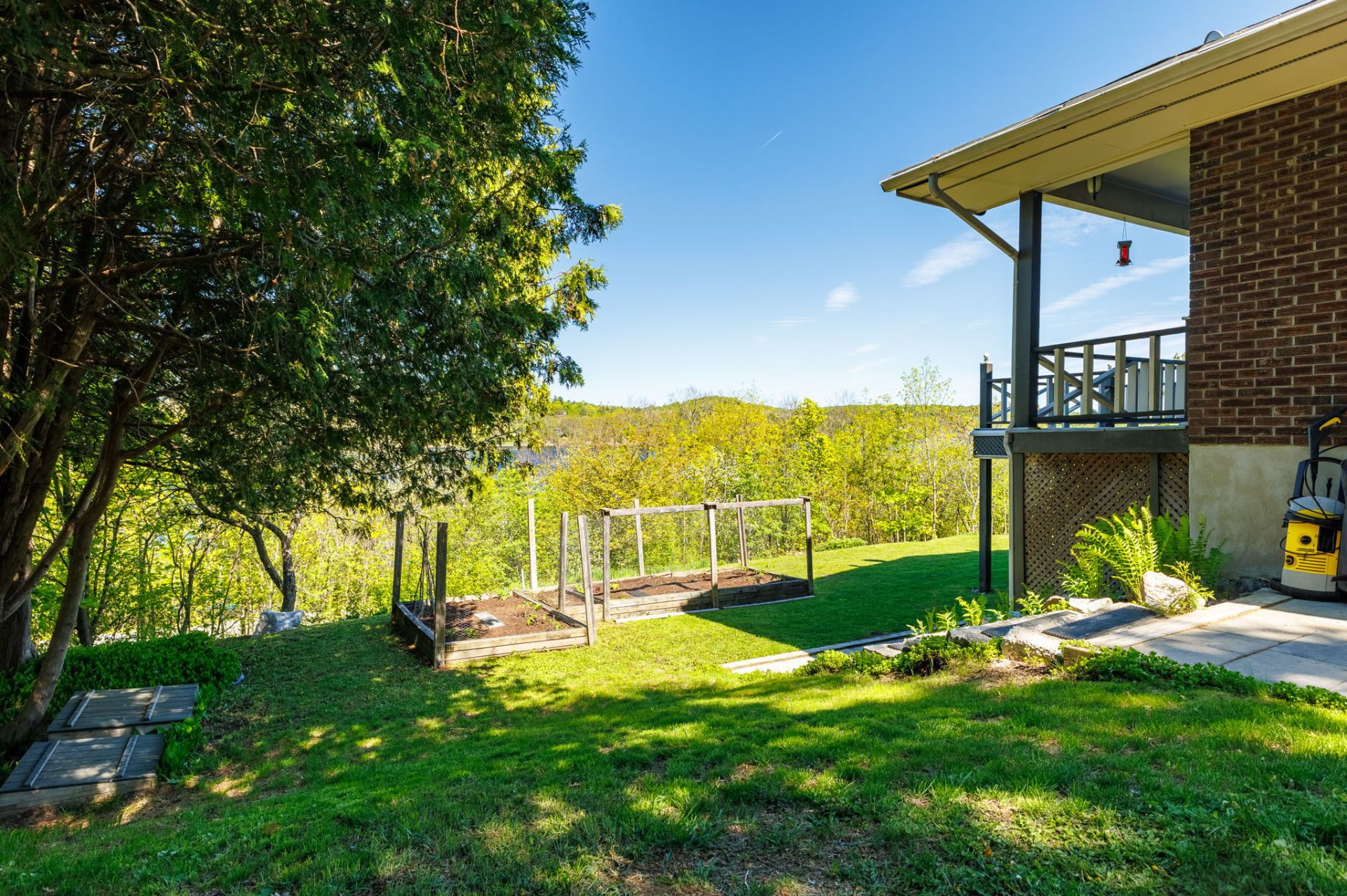 Backyard
