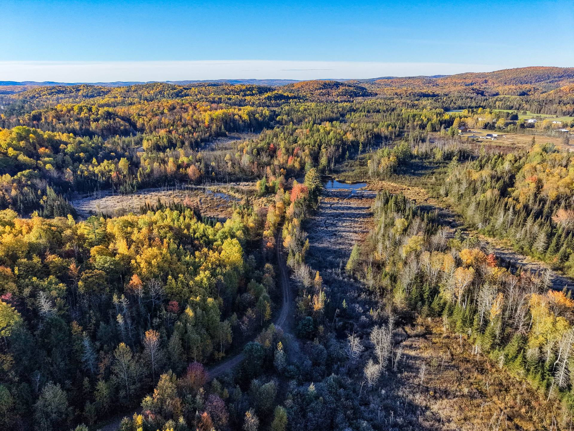 Aerial photo