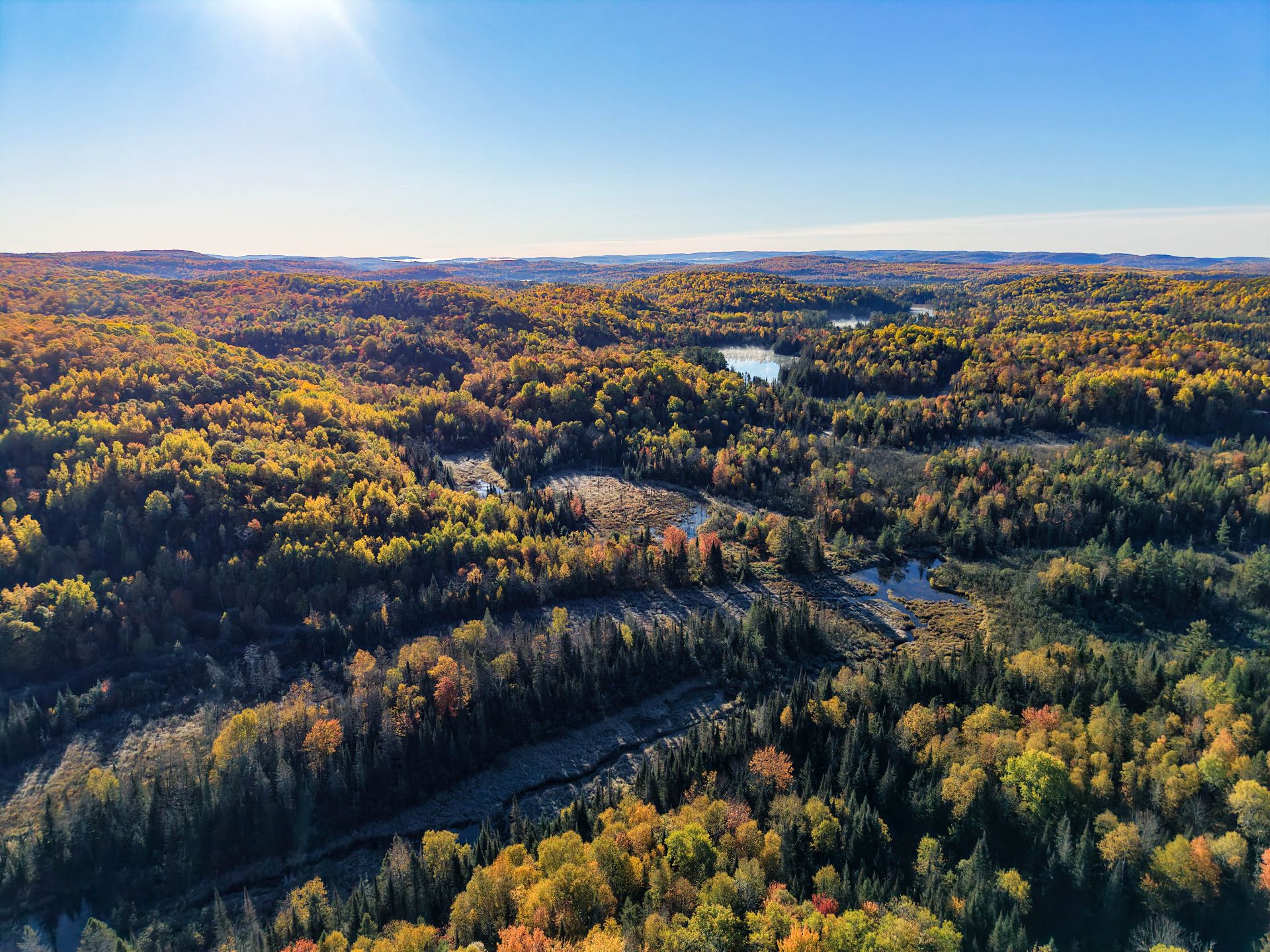 Aerial photo