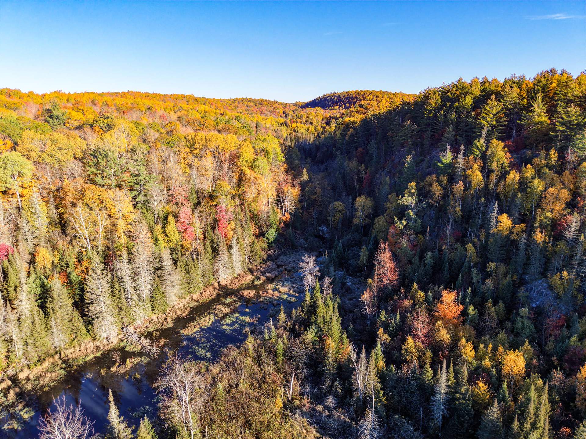 Aerial photo