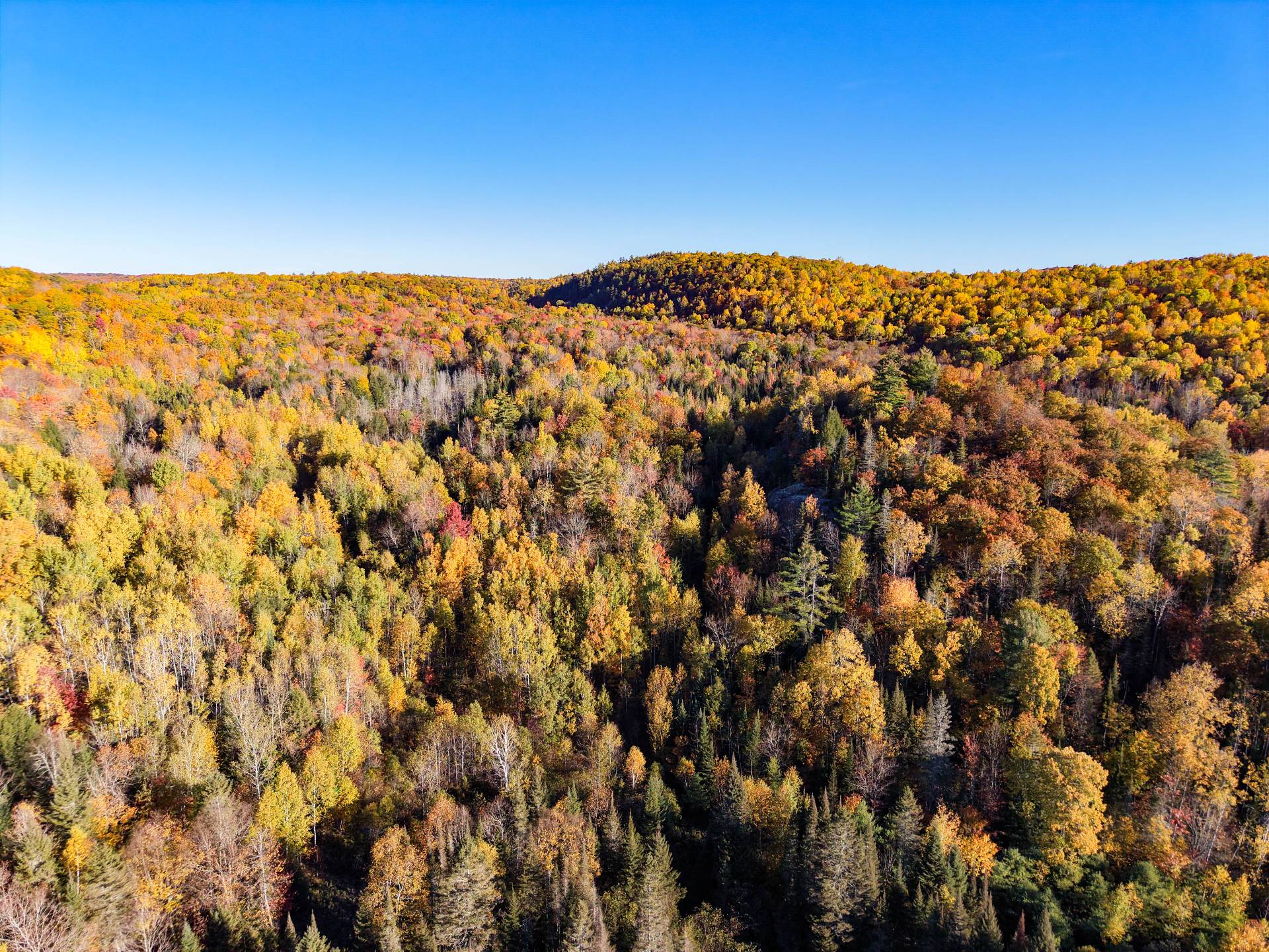 Aerial photo