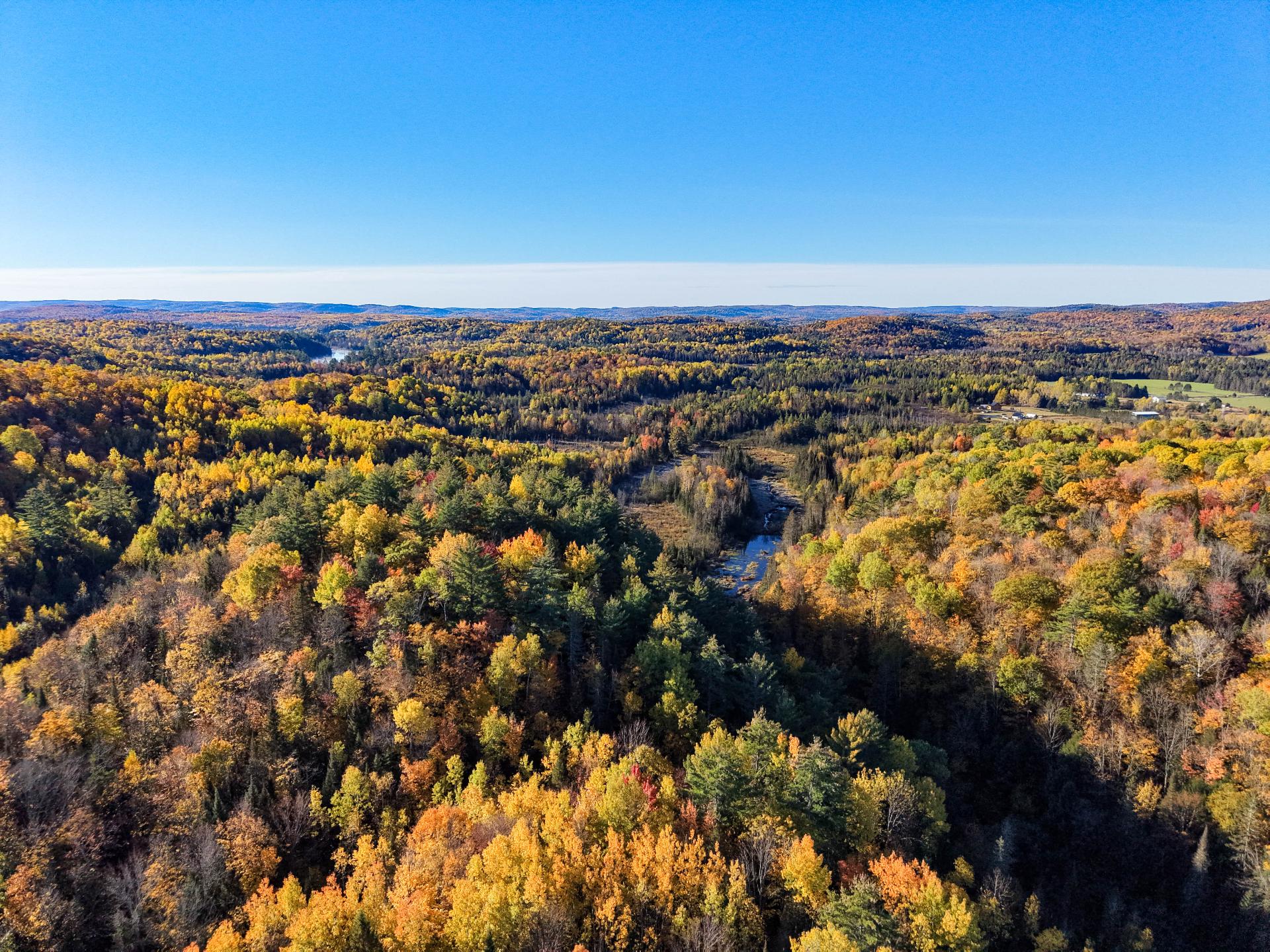 Aerial photo
