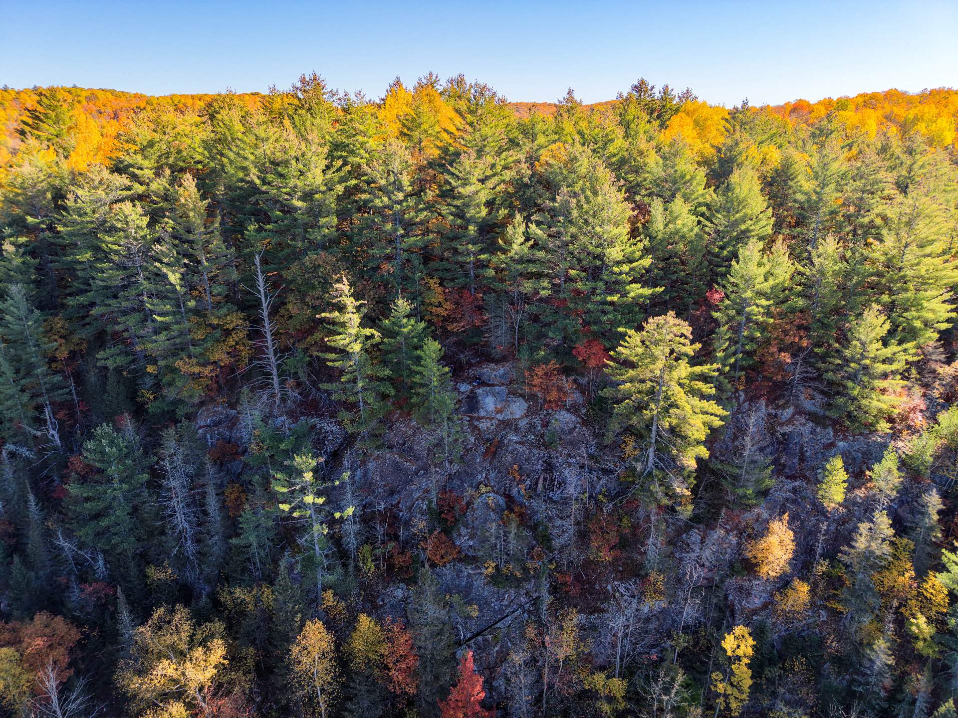Aerial photo