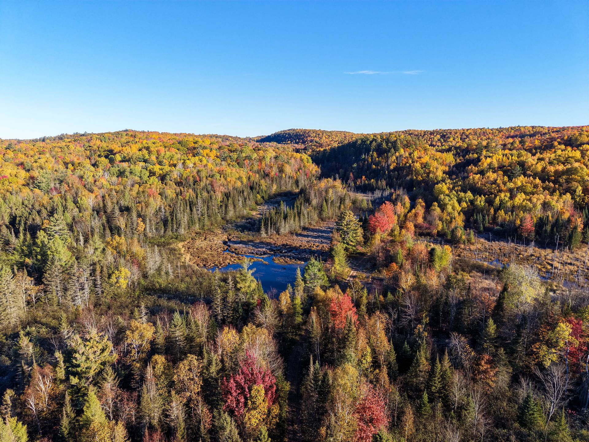 Aerial photo