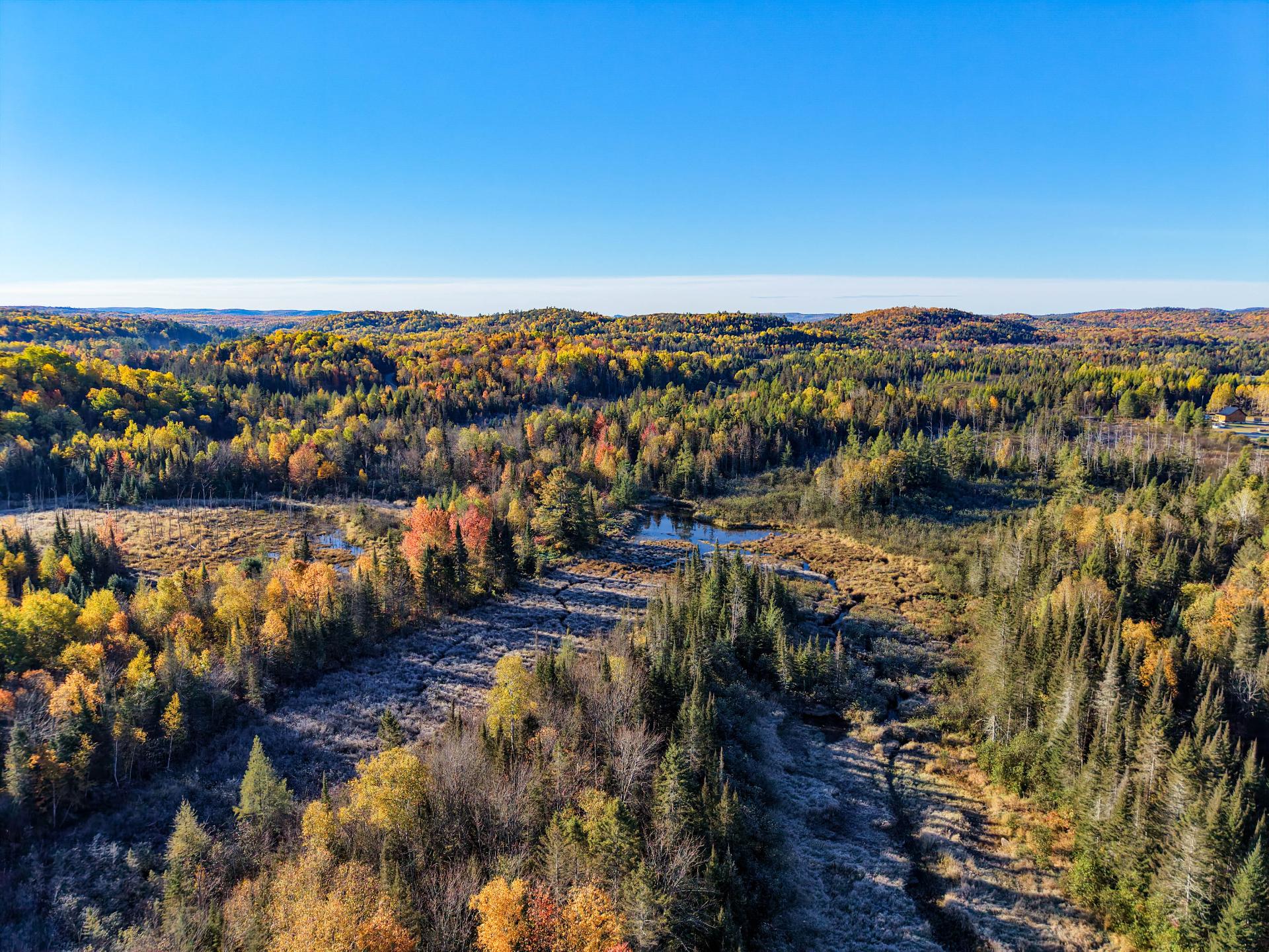 Aerial photo