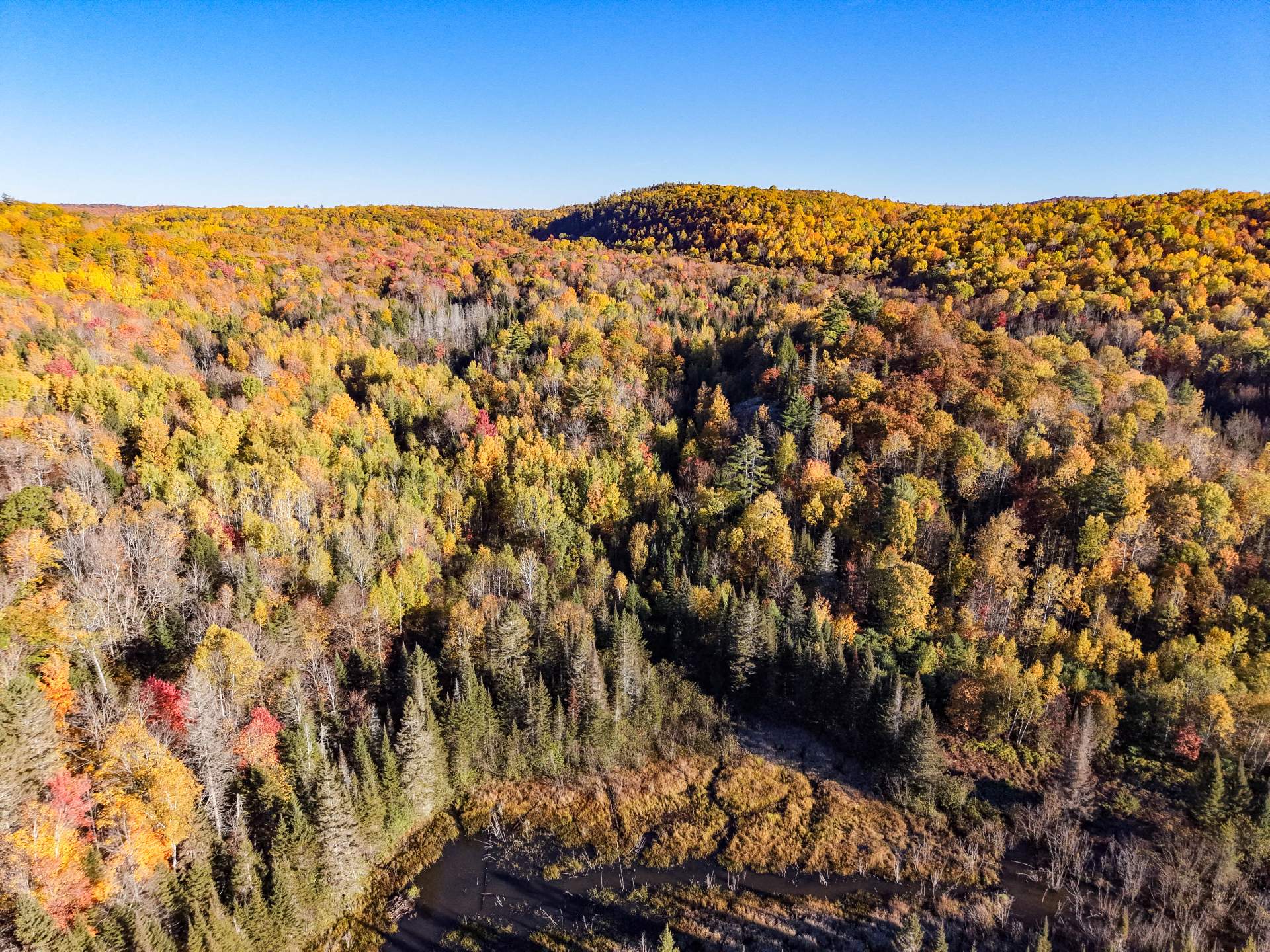 Aerial photo