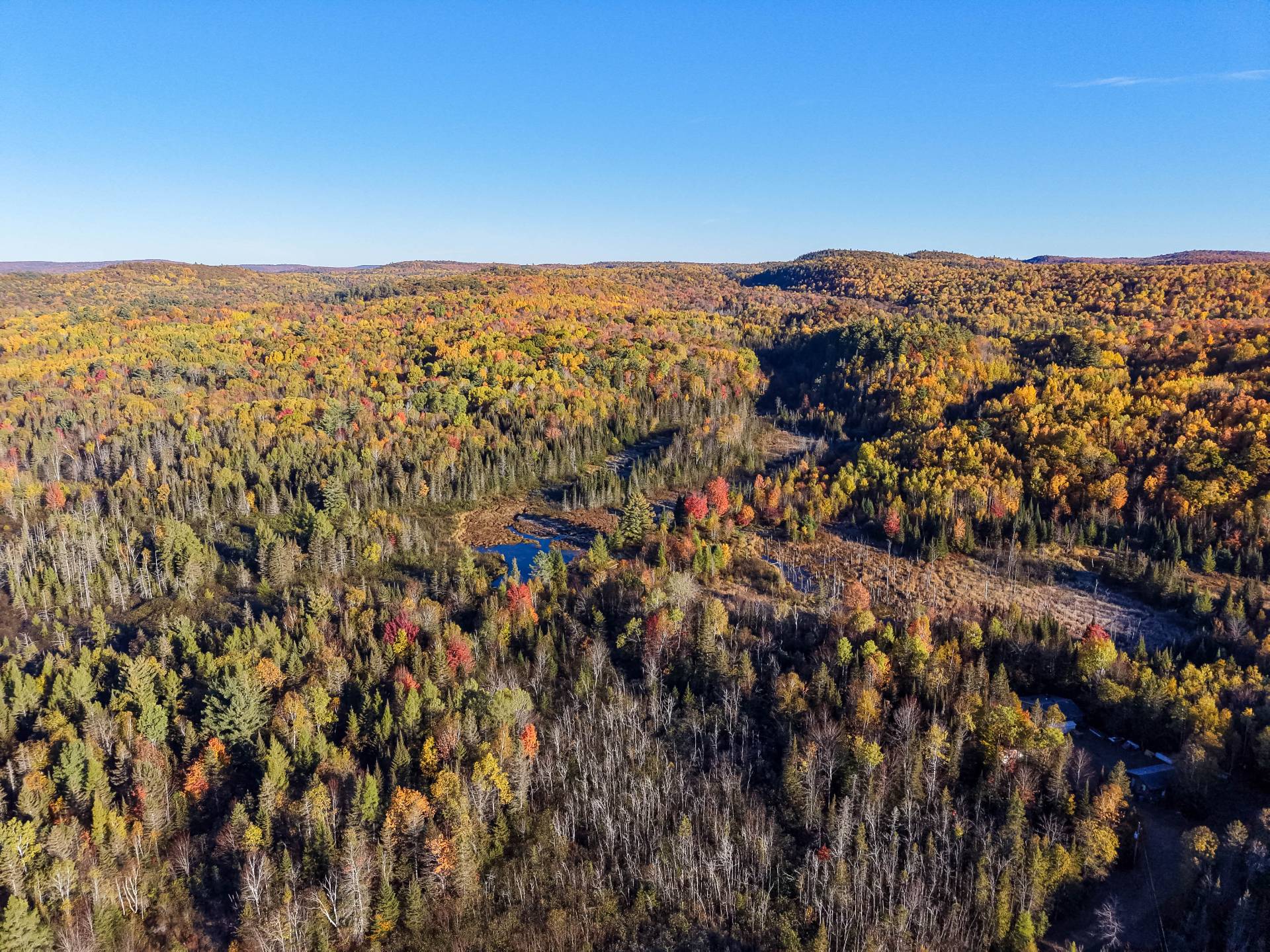 Aerial photo