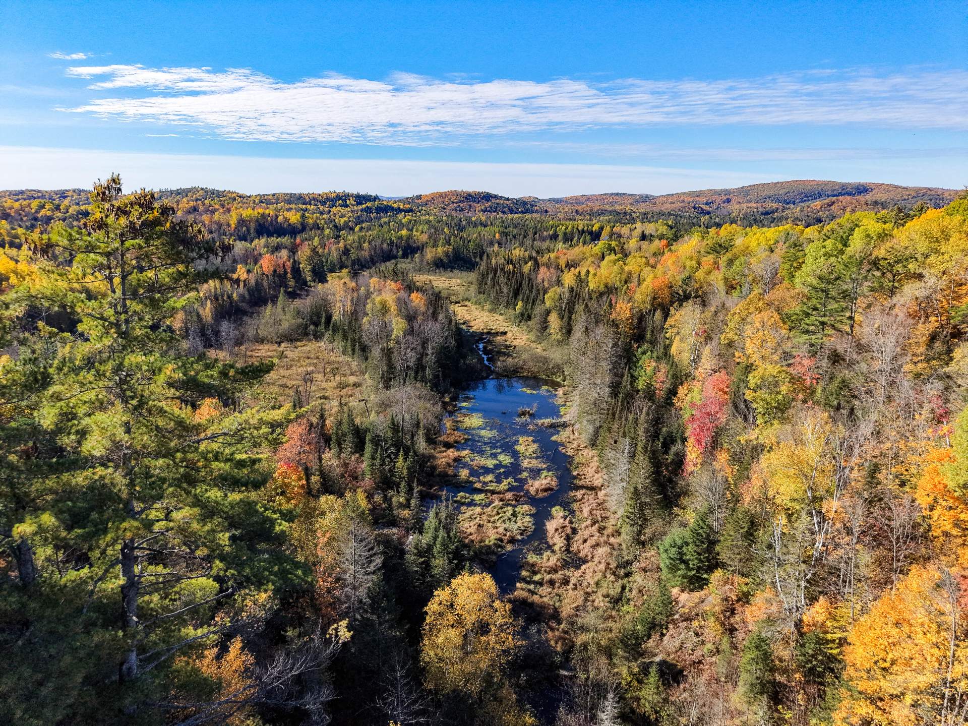 Aerial photo