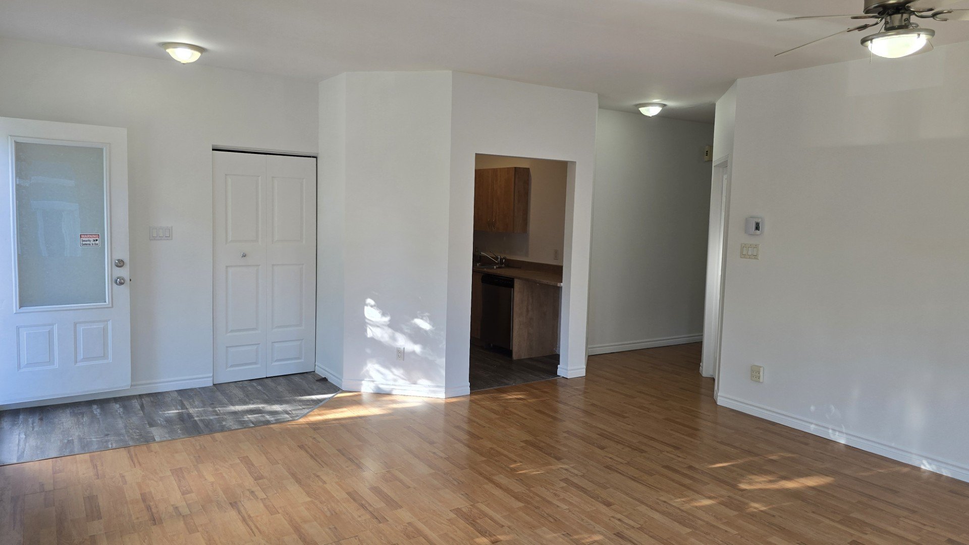 Overall view