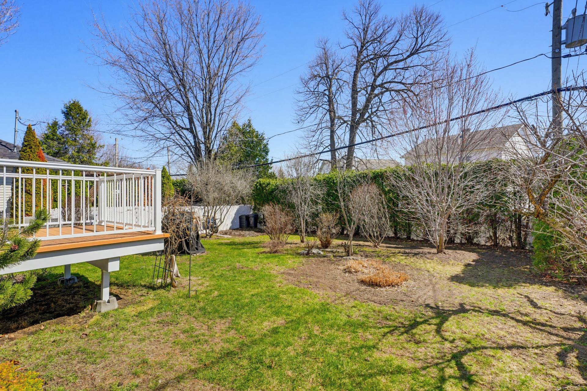 Backyard