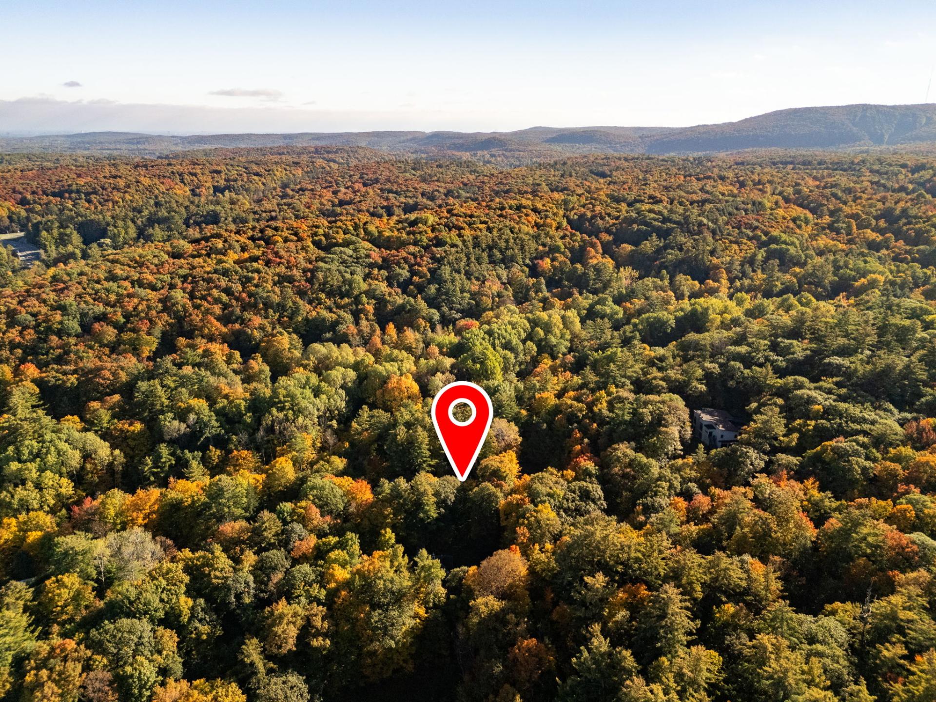 Aerial photo