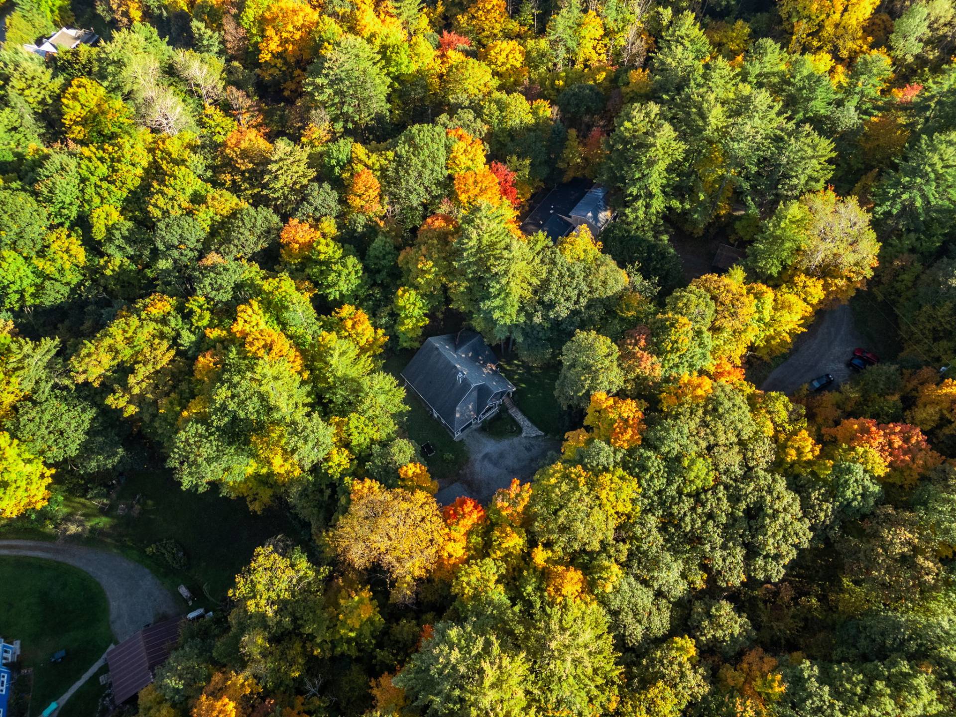 Aerial photo