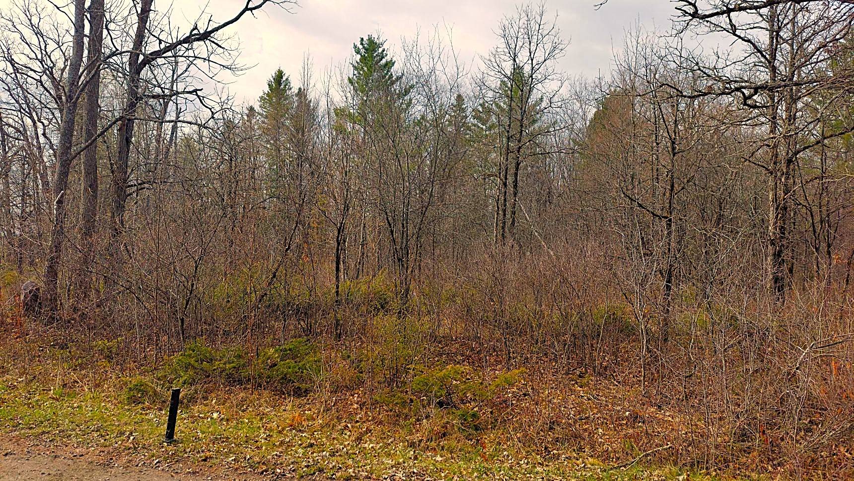 Wooded area - Flat, reverfront