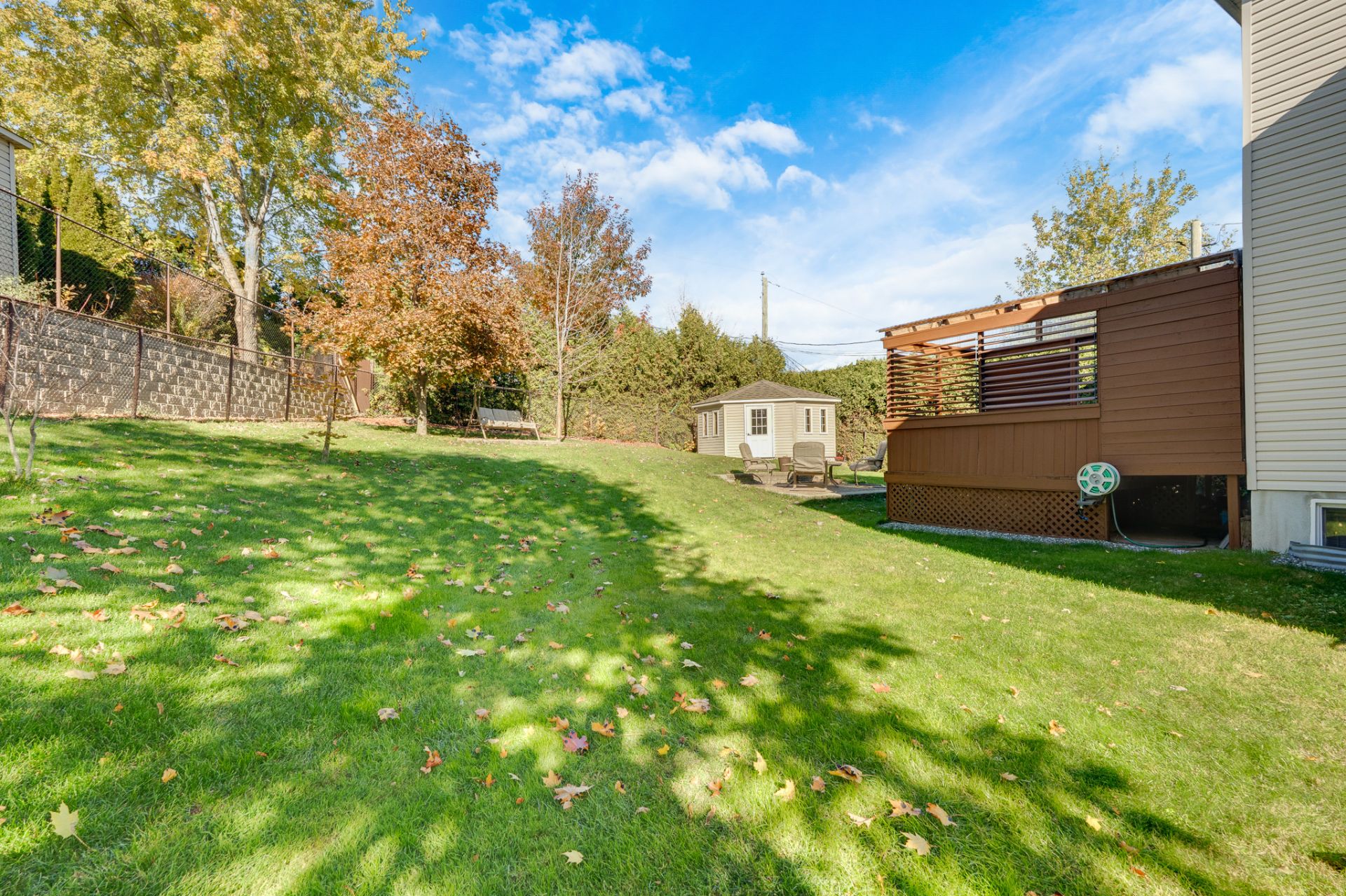 Backyard