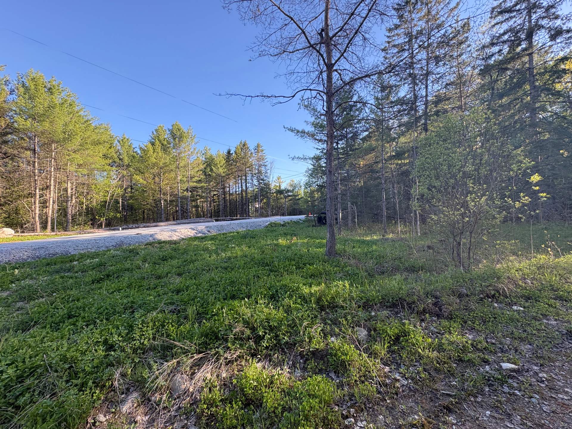 Land/Lot