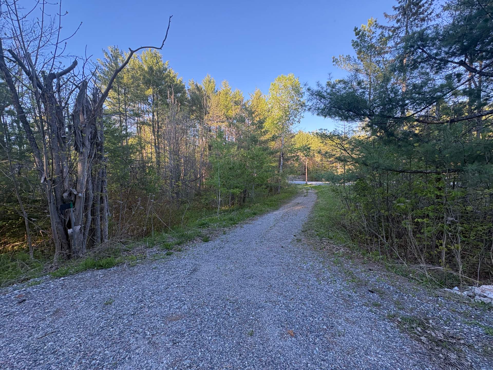Land/Lot