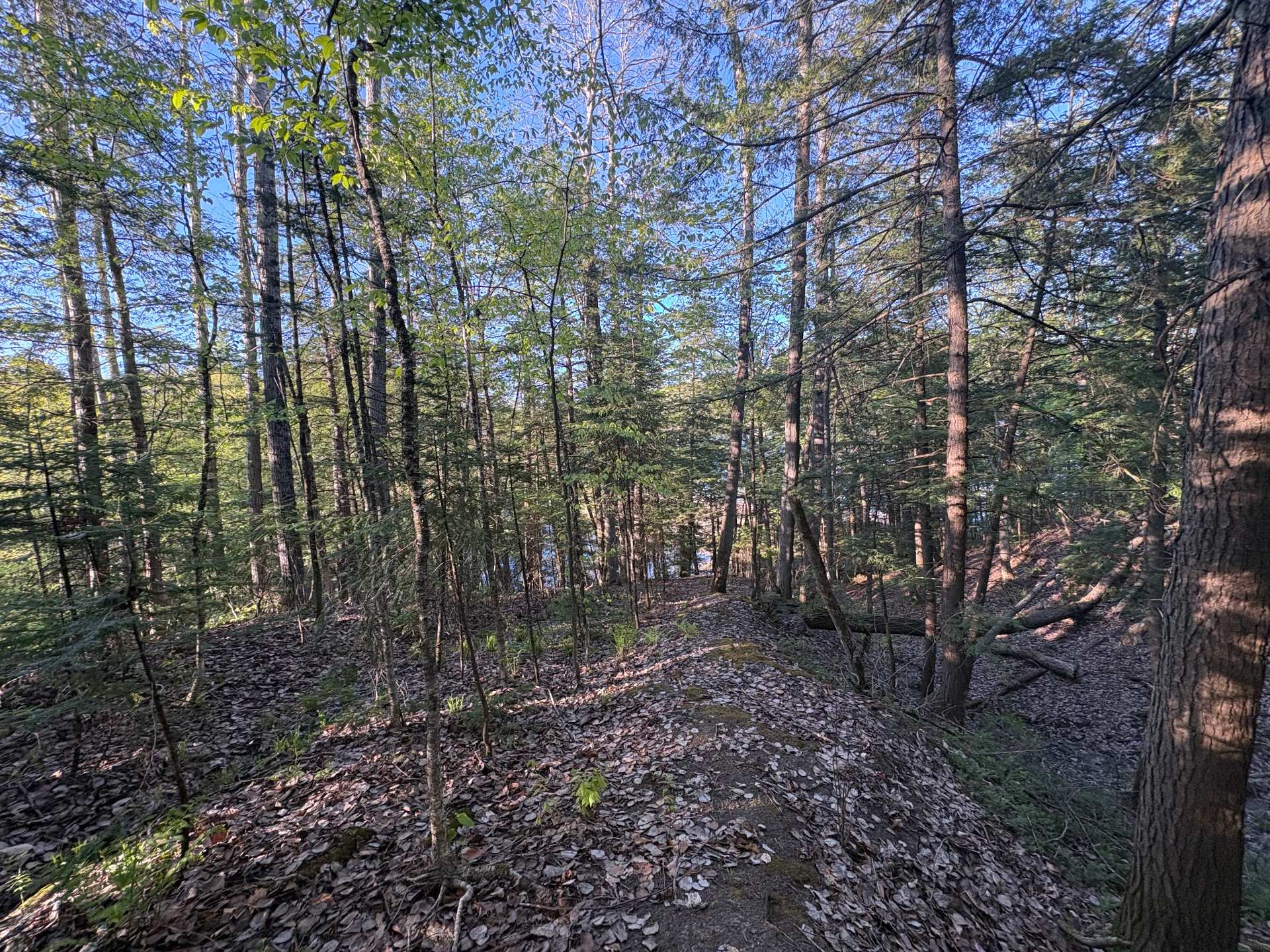 Other - Access