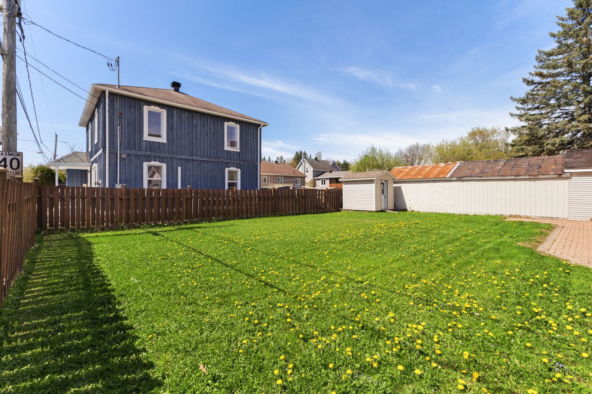 Backyard