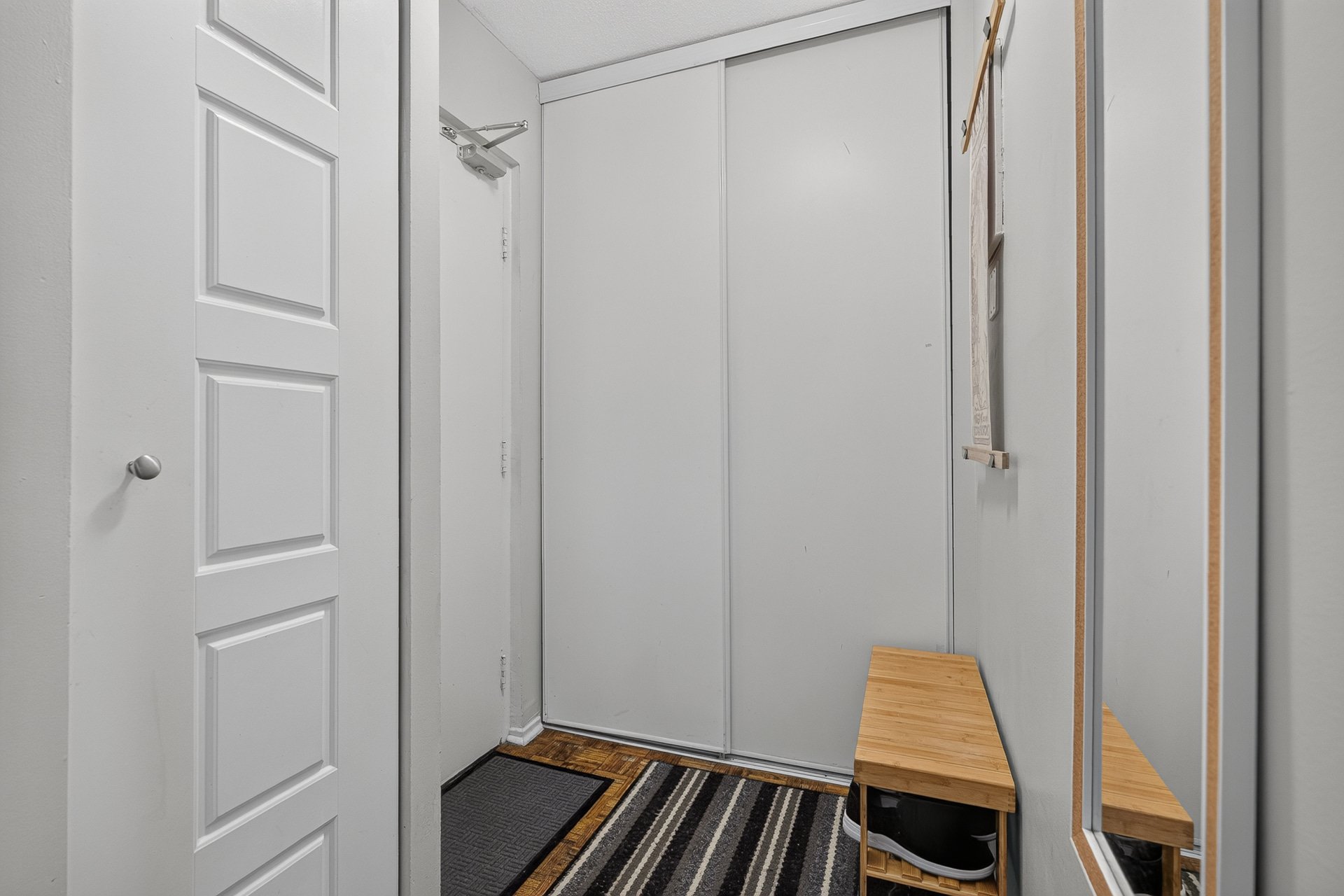 Hall d'entrée/Vestibule