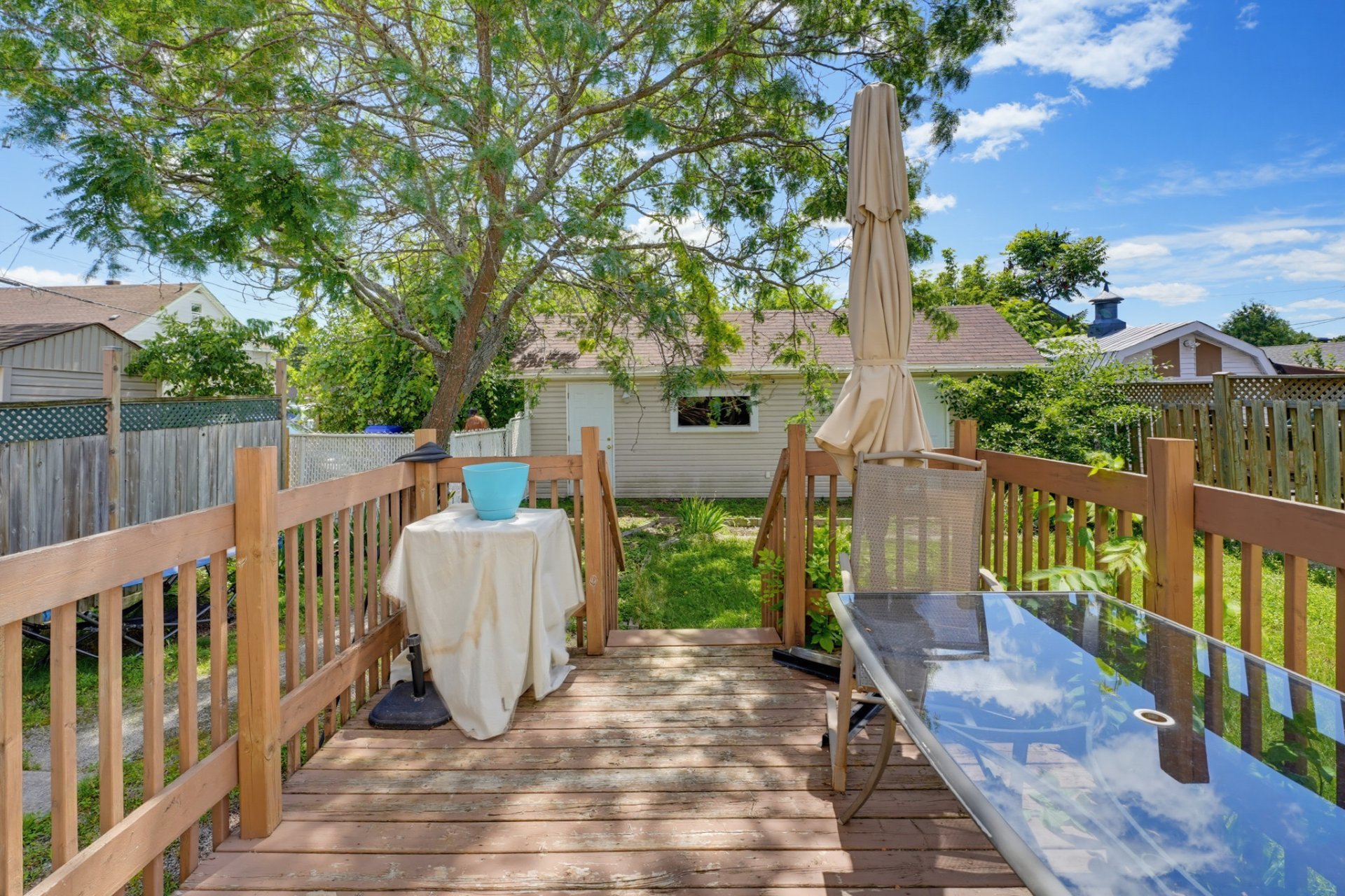 Backyard