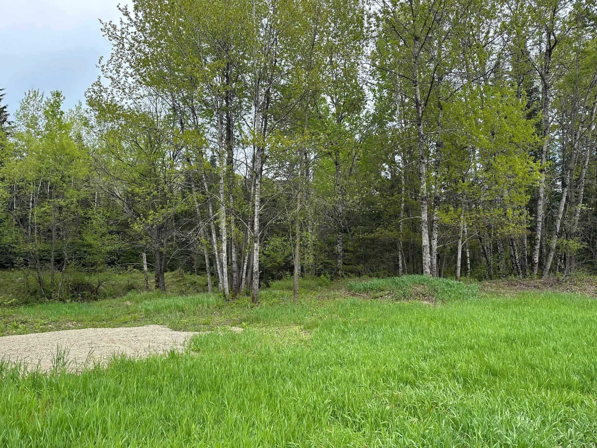 Terre/Terrain