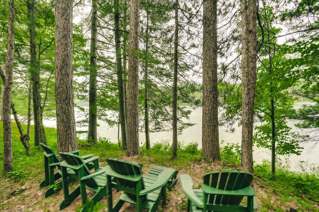Water view
