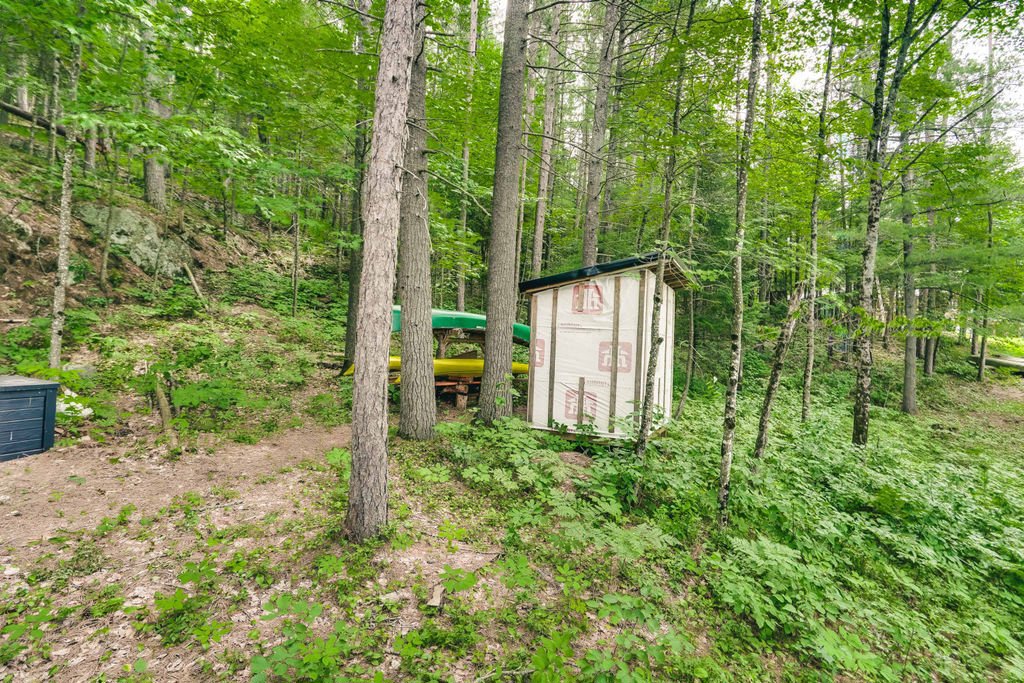 Shed