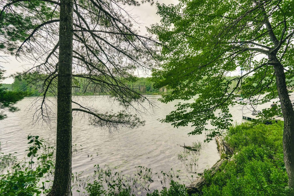 Water view