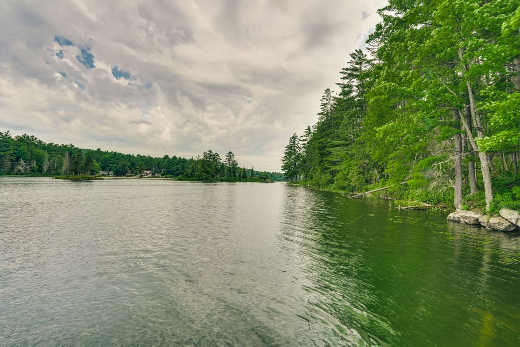 Water view
