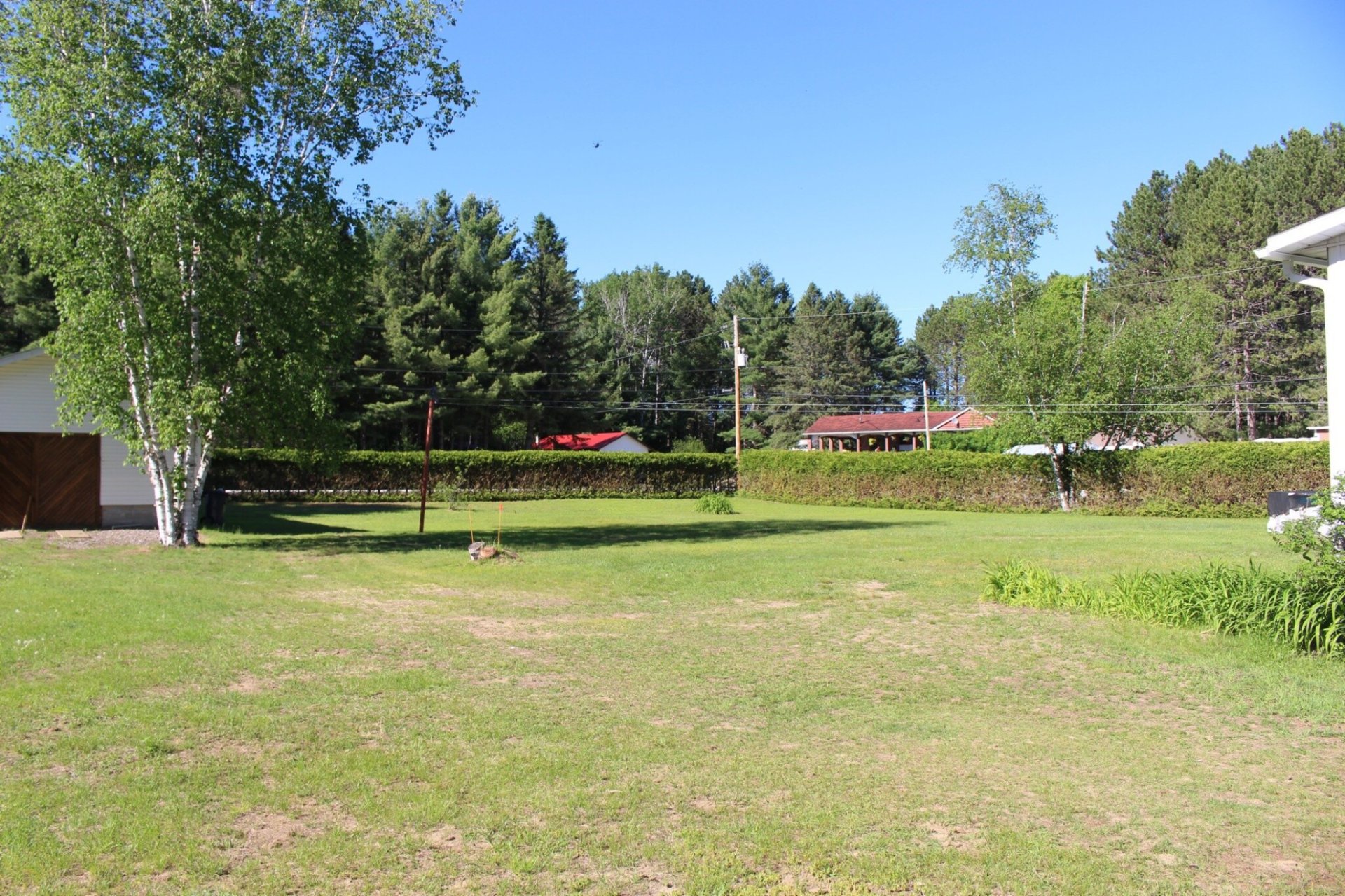 Backyard