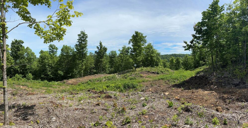 Terre/Terrain - Aire défriché au sommet pret pour votre maison