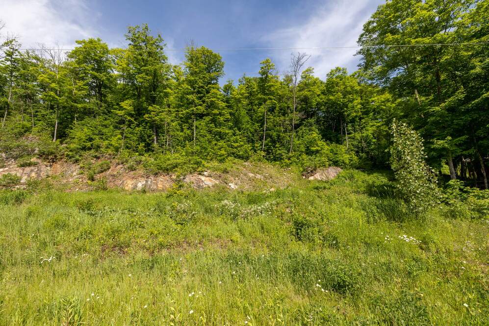 Façade - La vue du pied de la montange.