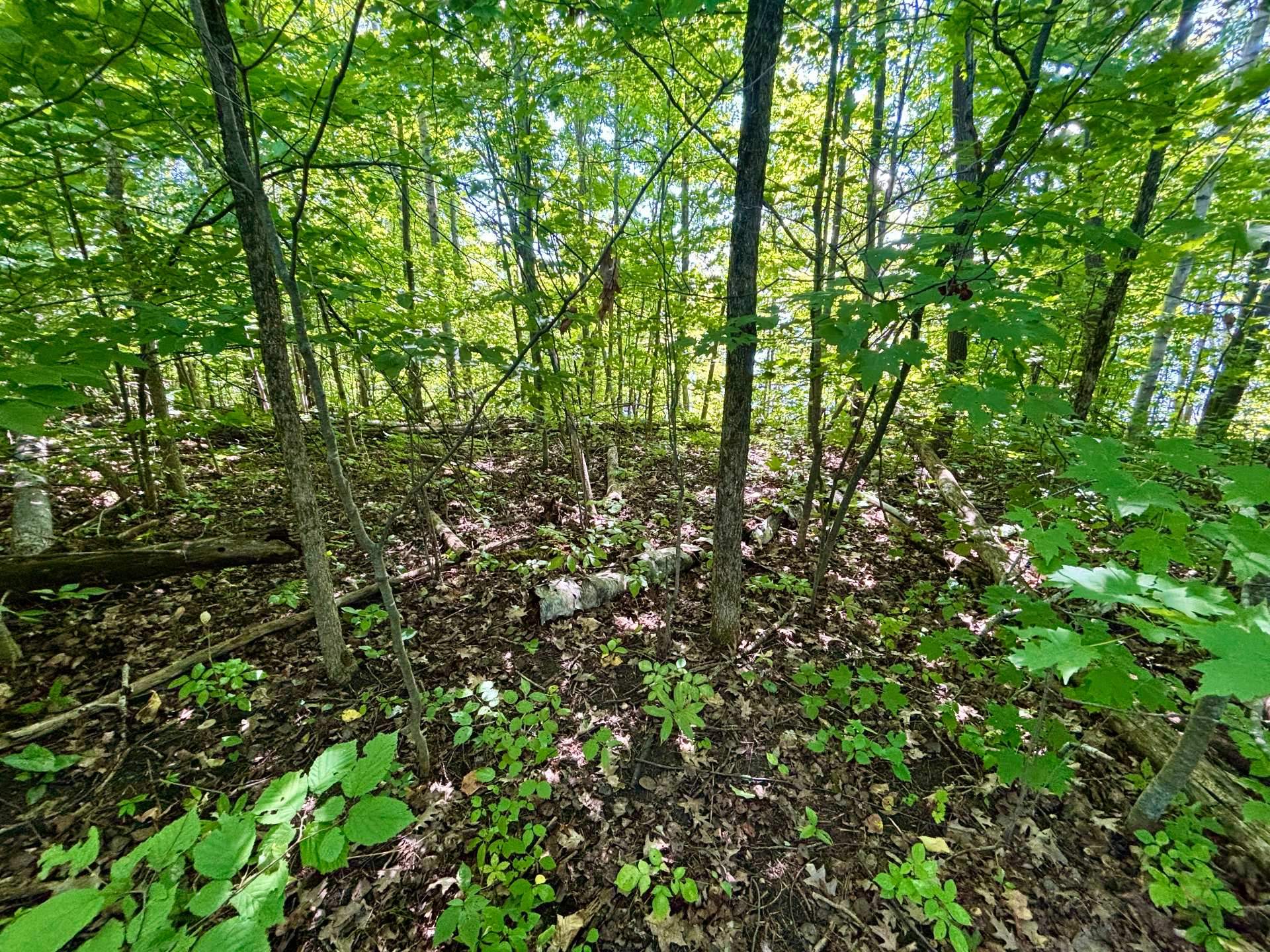 Land/Lot