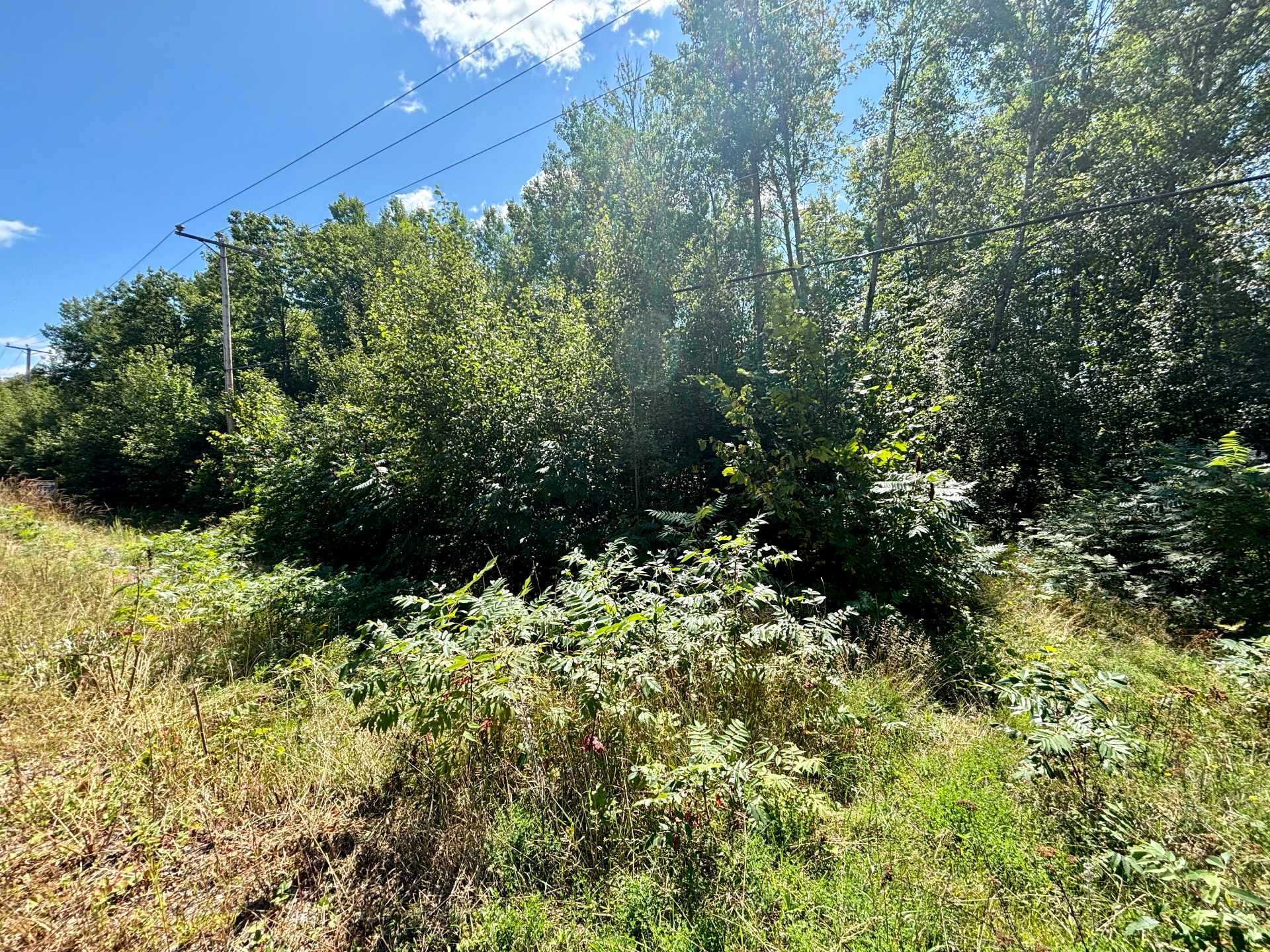 Land/Lot