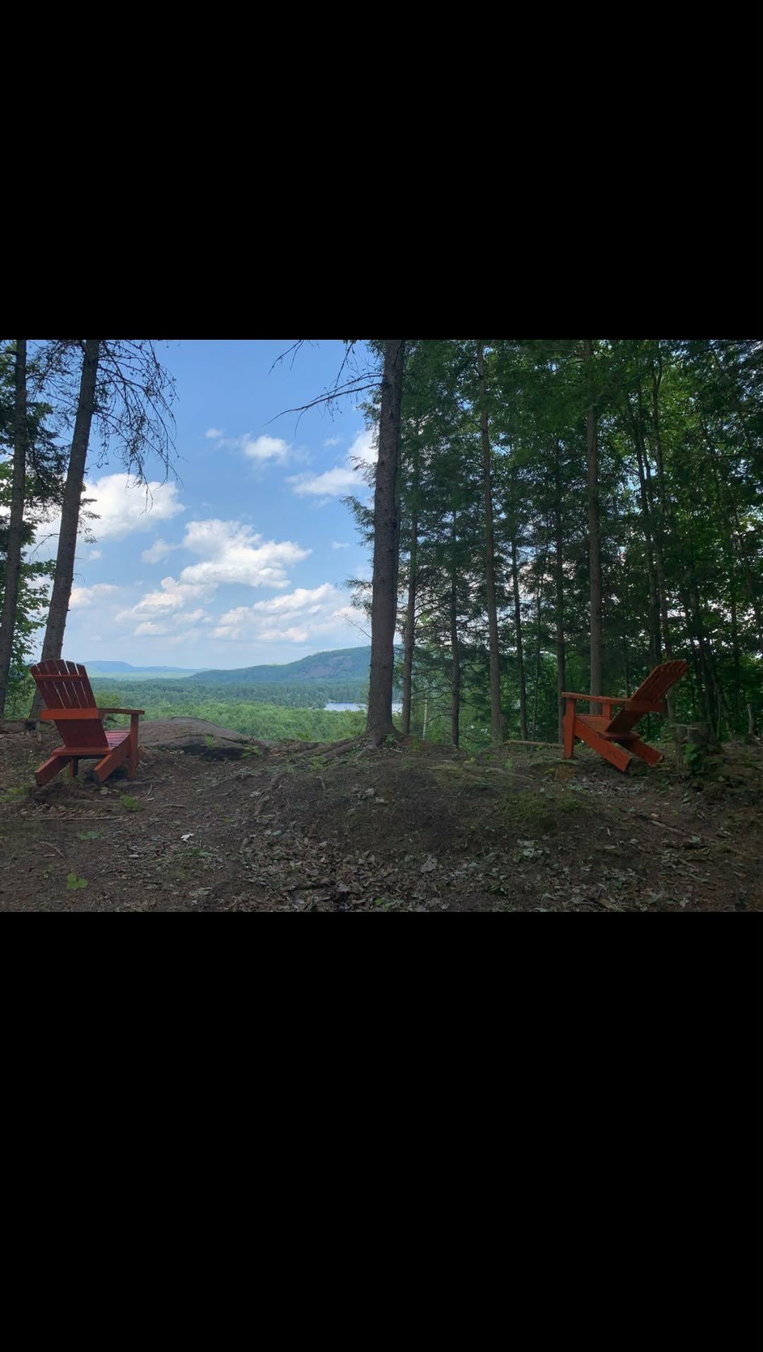 View